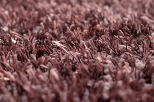 Whisper Plain Grey Rug