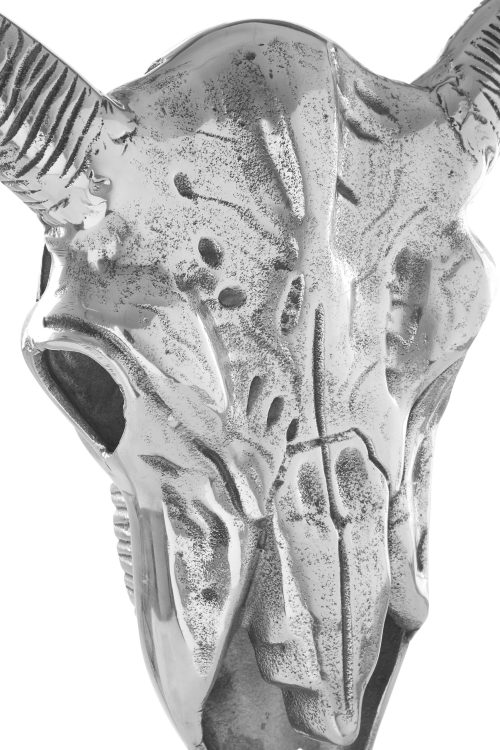 Barra Skull Wall Sculpture