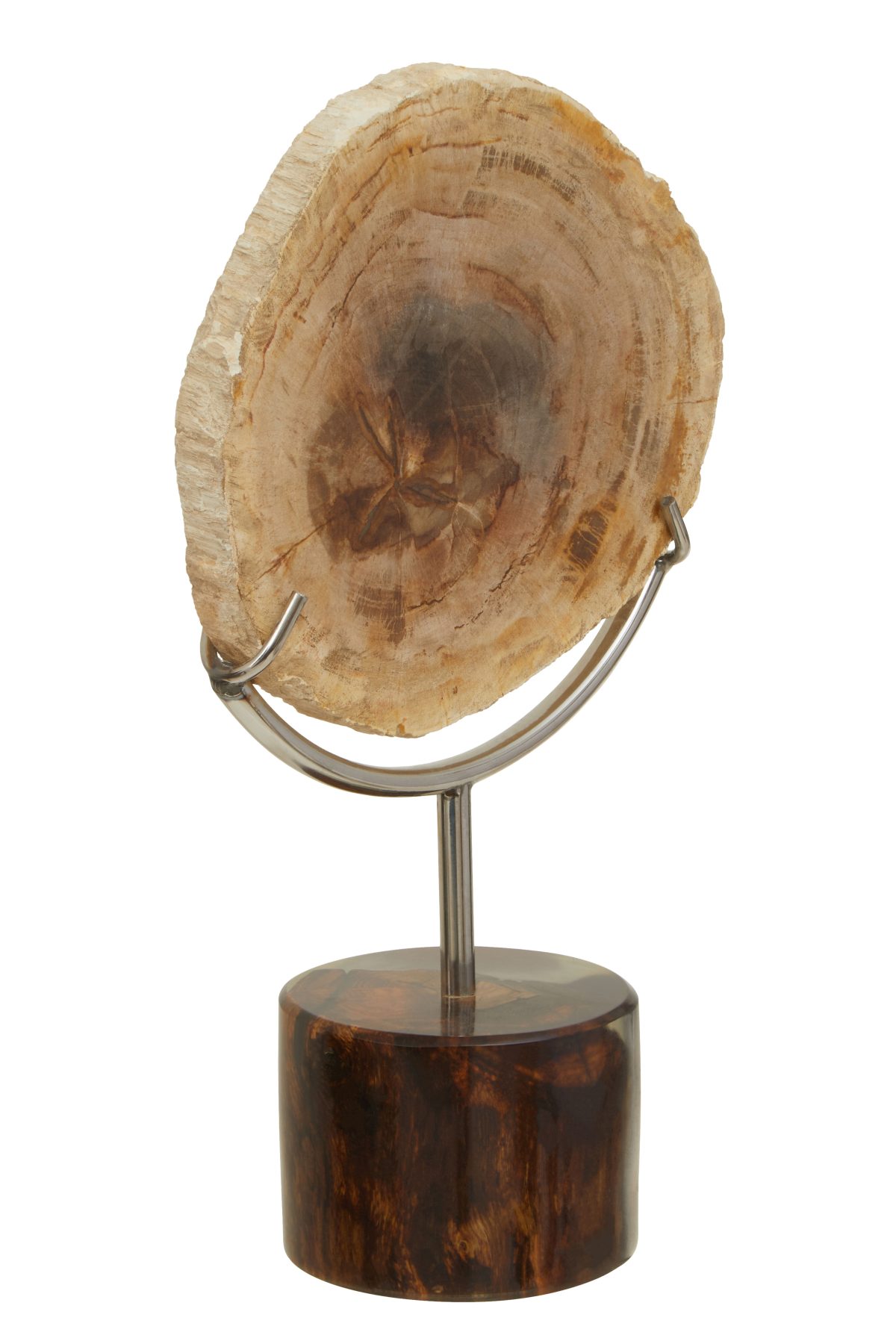 Hampstead Sculpture - Fossilised Wood