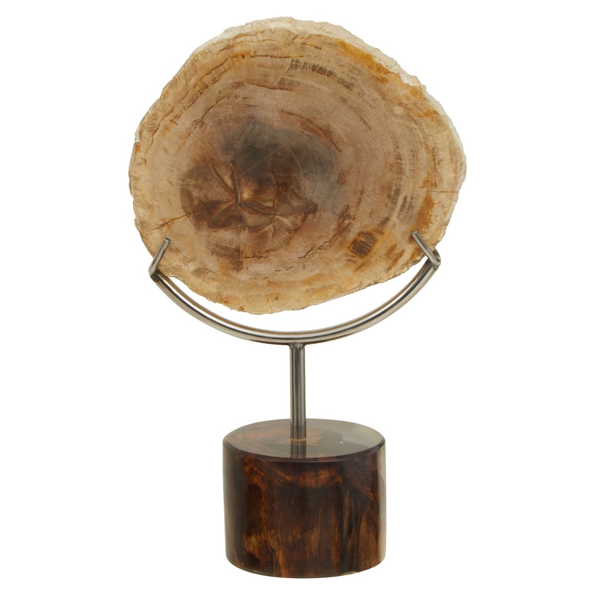 Hampstead Sculpture - Fossilised Wood