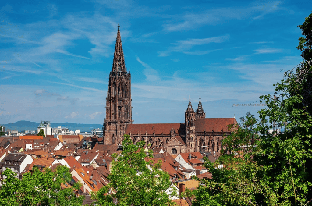 Privatjet nach Freiburg: Wellness im Schwarzwald oder Stadtaktivitäten