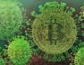 How-Does-The-Coronavirus-Epidemic-Affect-Cryptocurrency-Rate