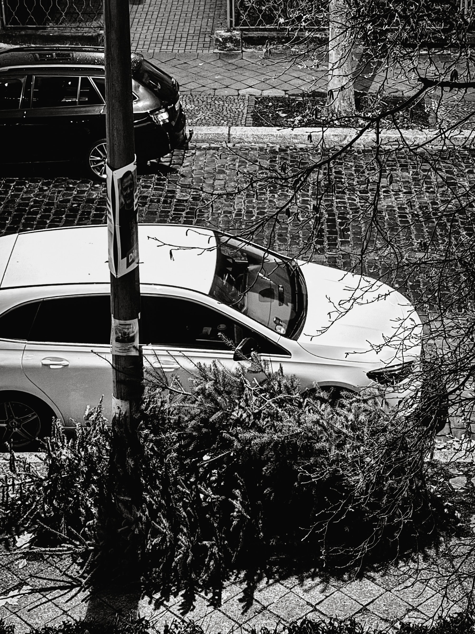 BDM_01_2025_1_Mark_Poltermann-14