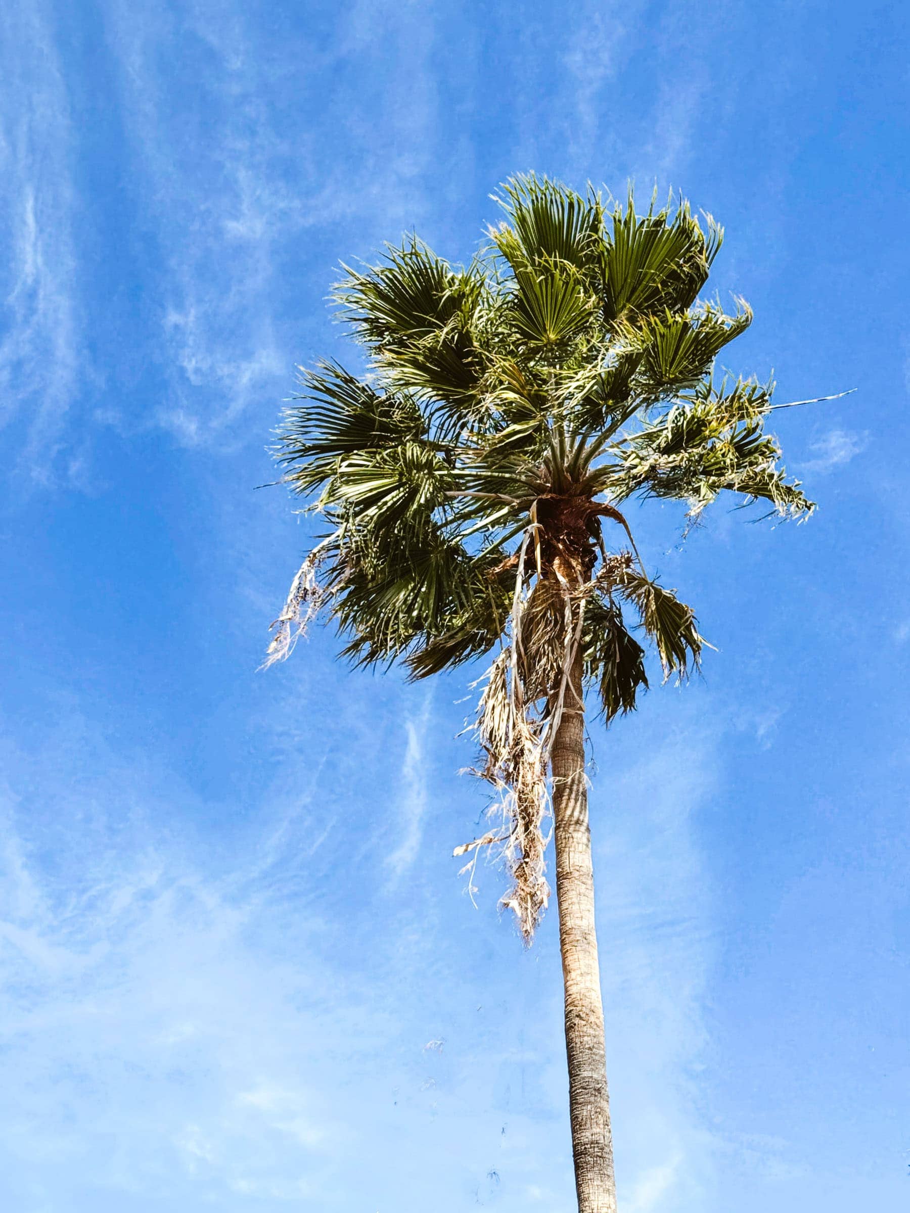 BDM_02_2025_1_Mark_Poltermann-11