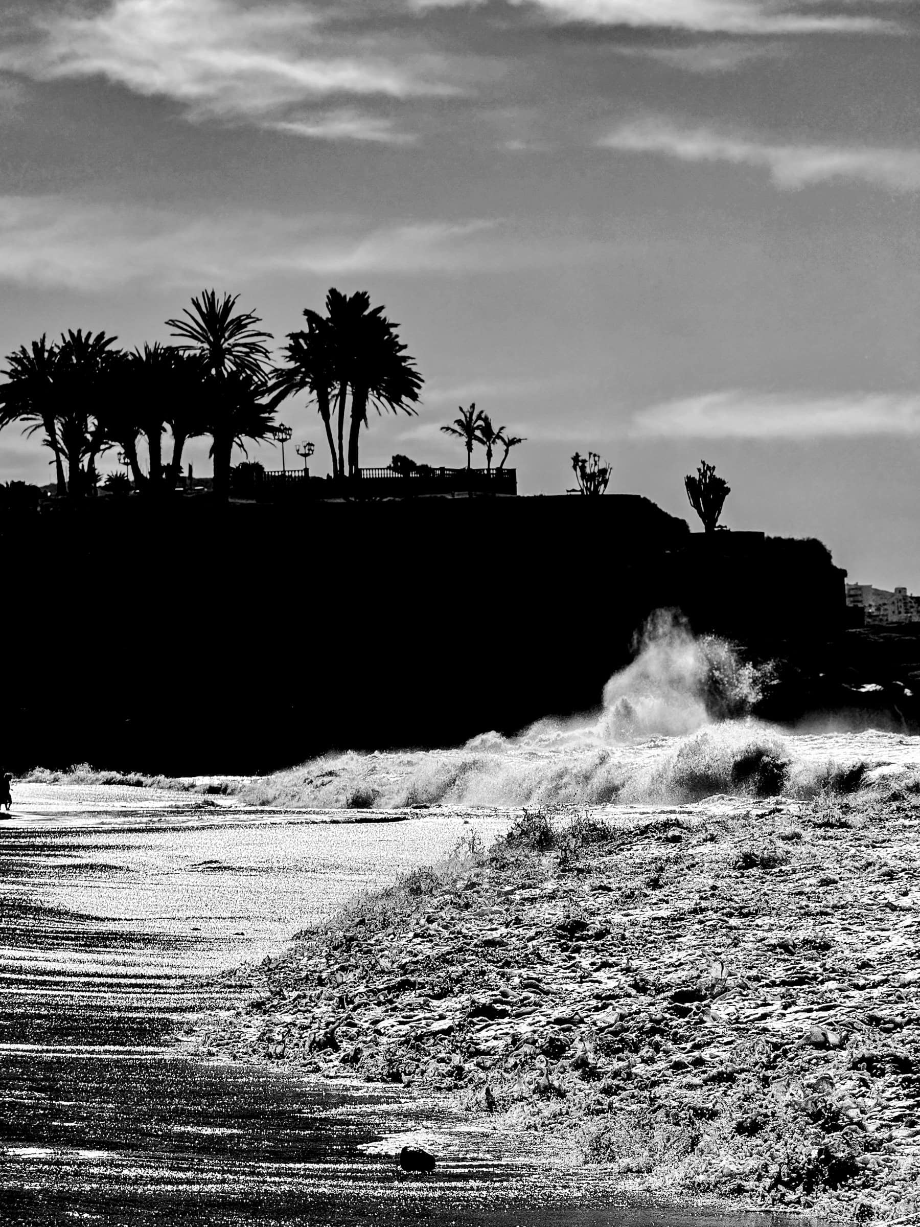 BDM_02_2025_1_Mark_Poltermann-17