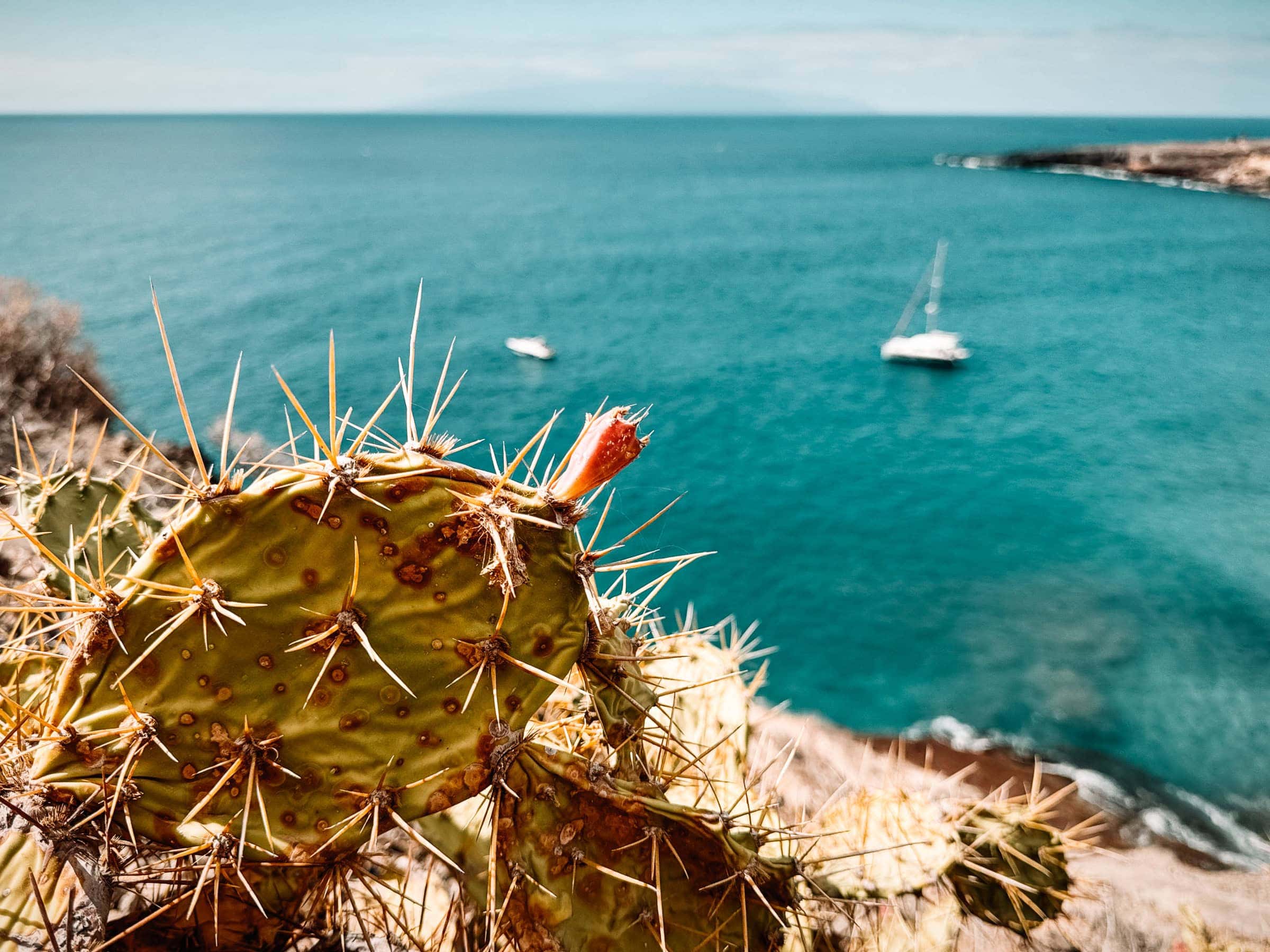 BDM_02_2025_1_Mark_Poltermann-21