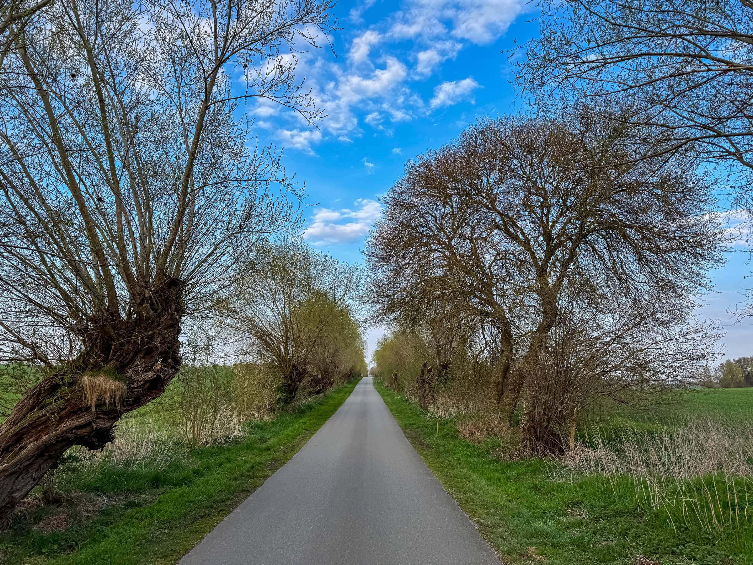 BDM_04_2025_1_Mark_Poltermann-15