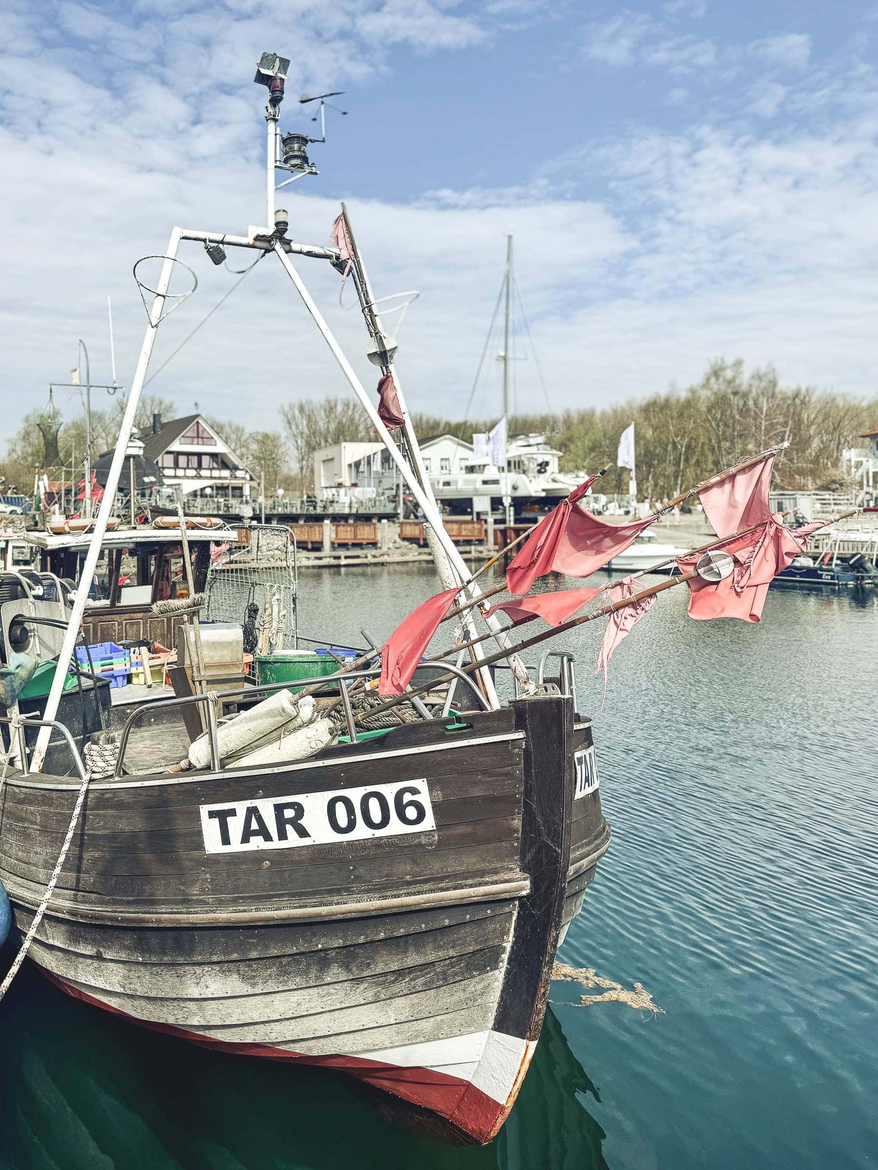 BDM_04_2025_1_Mark_Poltermann-17