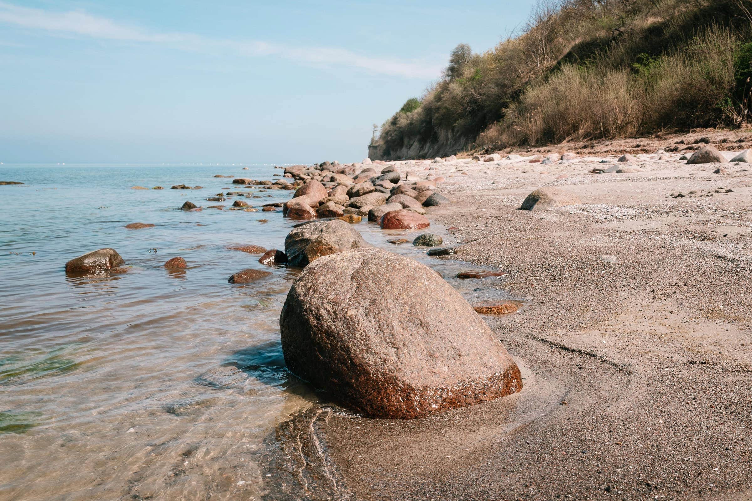 BDM_04_2025_1_Mark_Poltermann-20