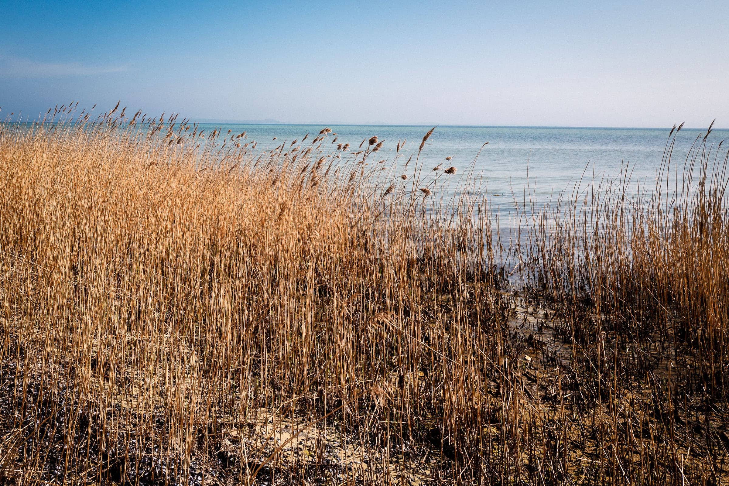 BDM_04_2025_1_Mark_Poltermann-21