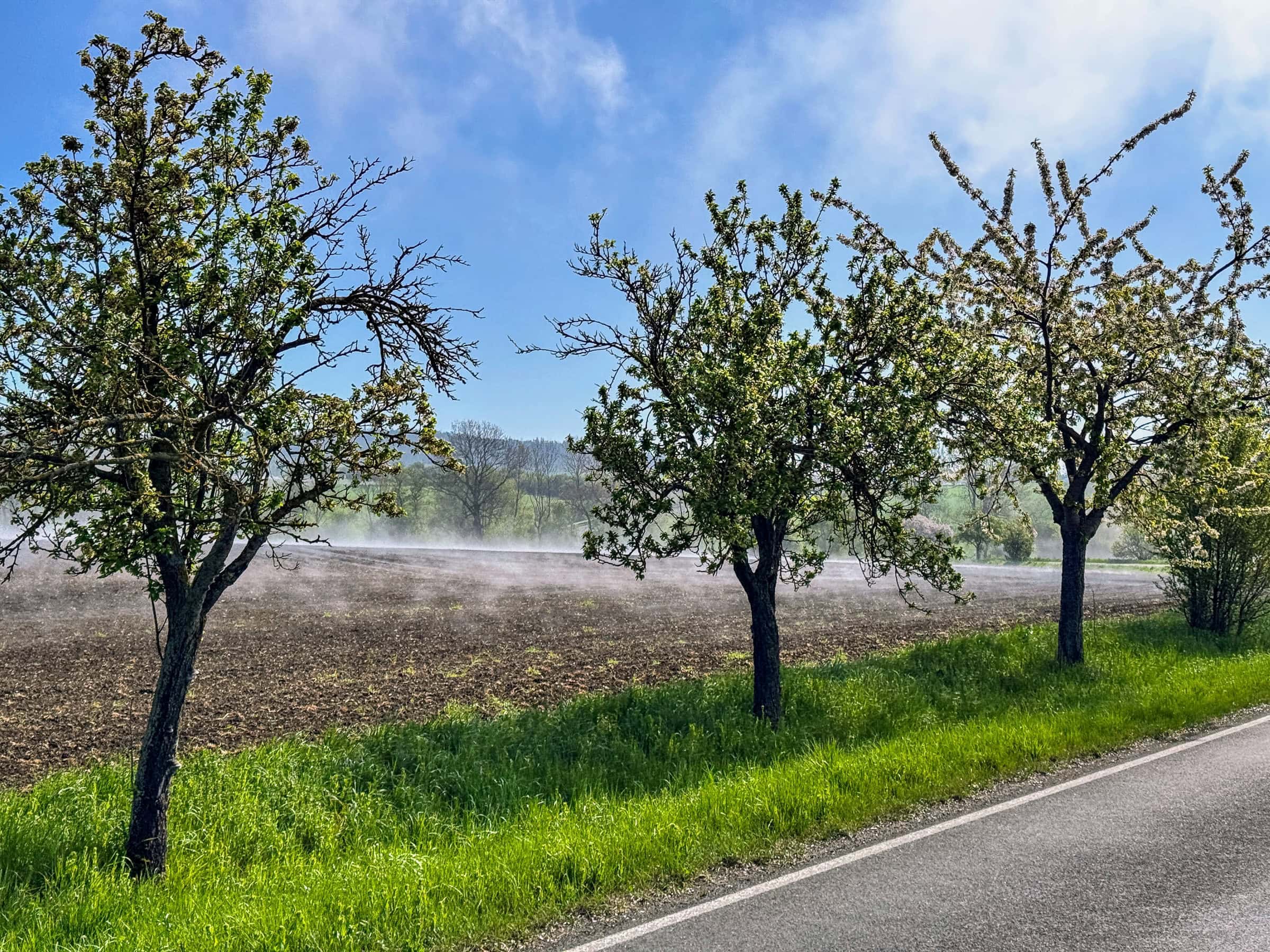 BDM_04_2025_1_Mark_Poltermann-27