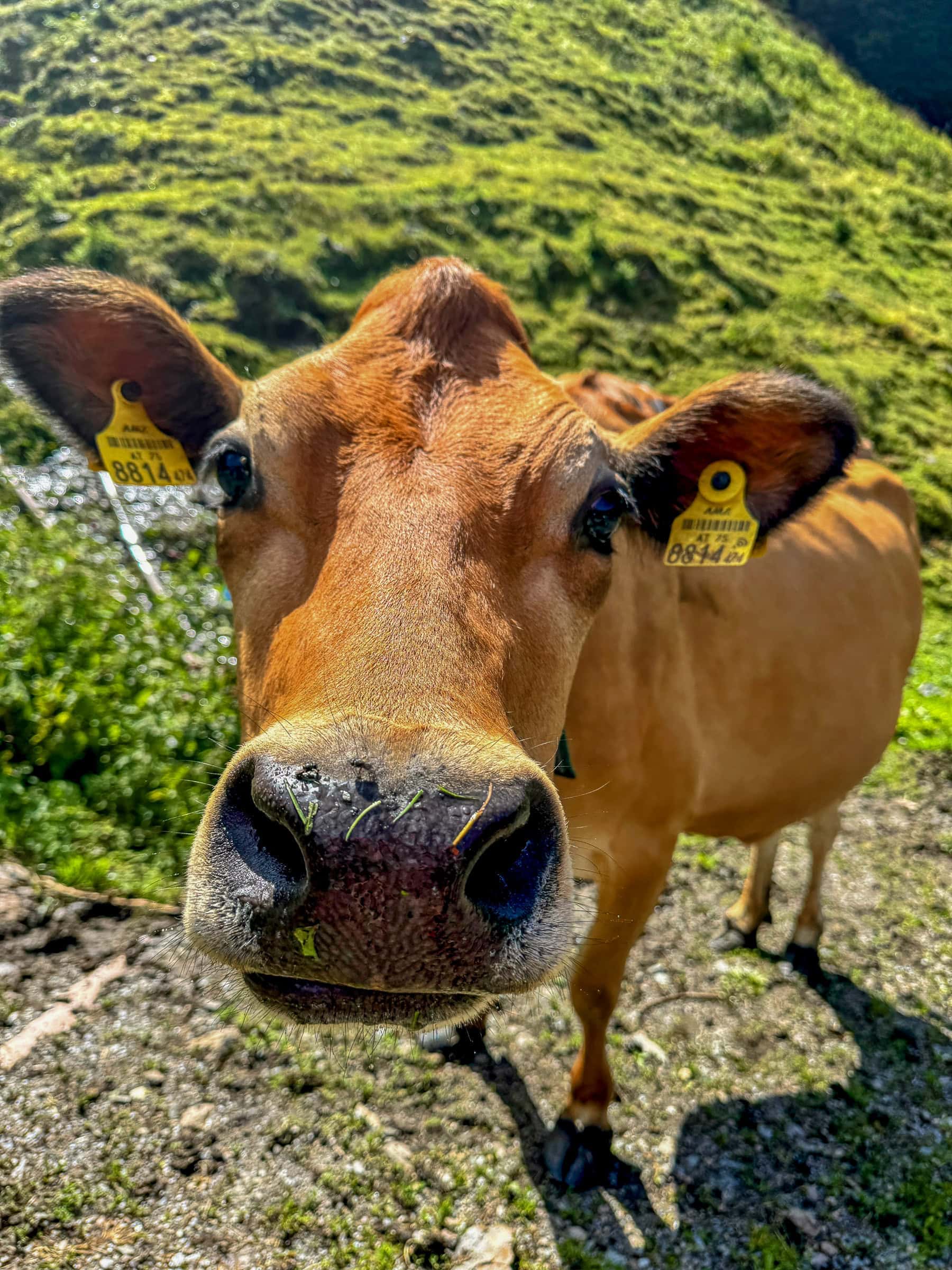 BDM_07_2025_1_Mark_Poltermann-19