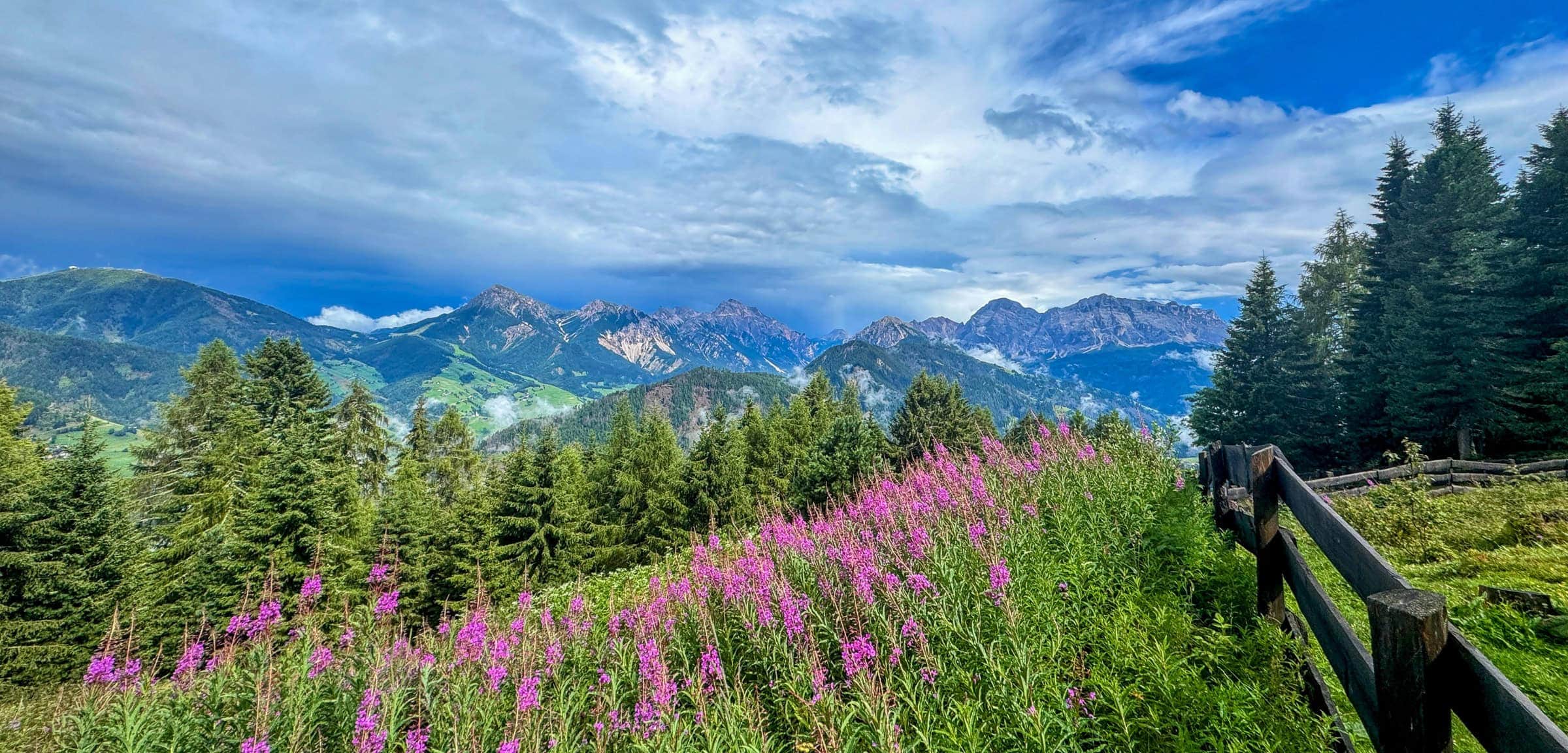 BDM_07_2025_1_Mark_Poltermann-24