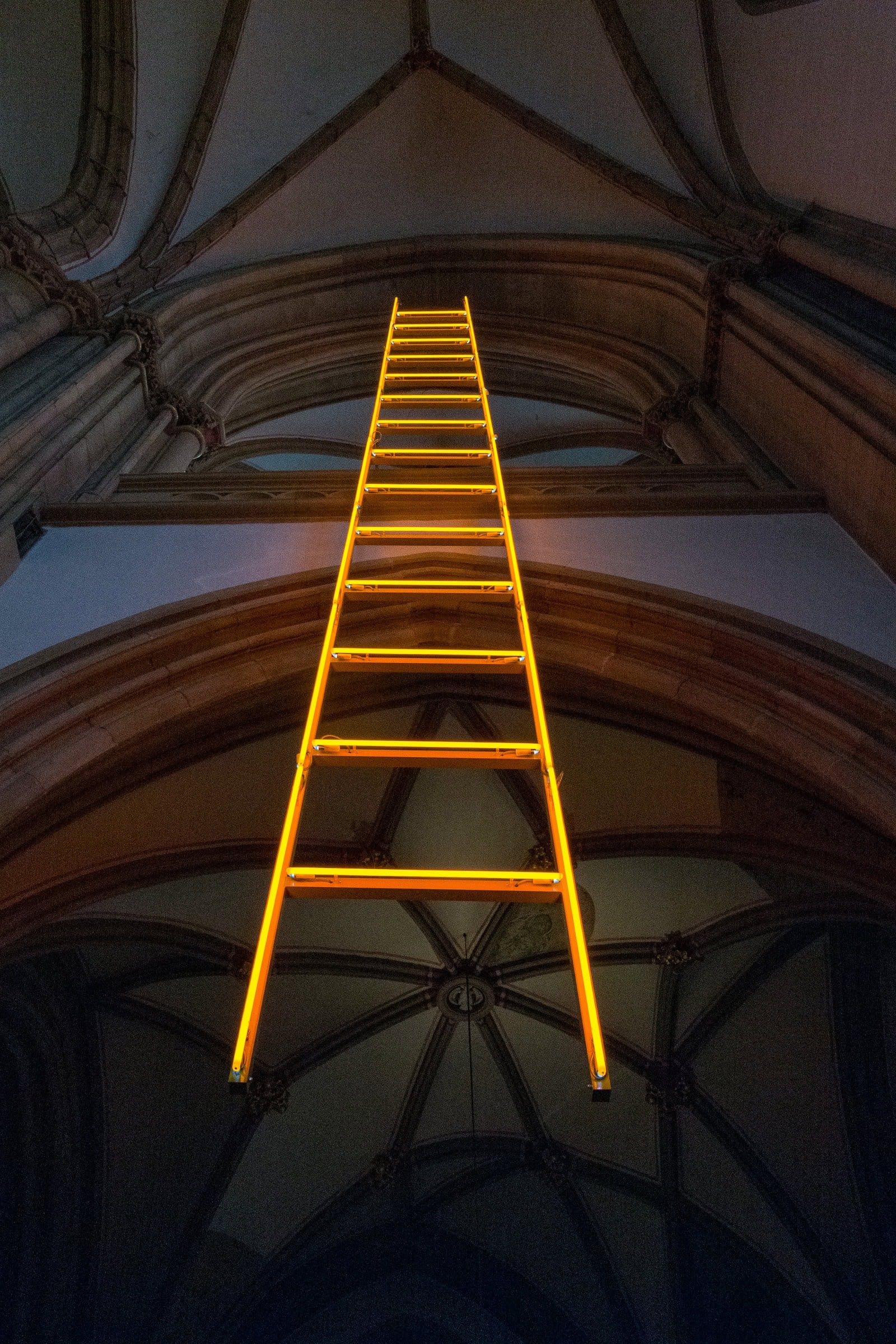 BDM_08_2025_1_Mark_Poltermann-1