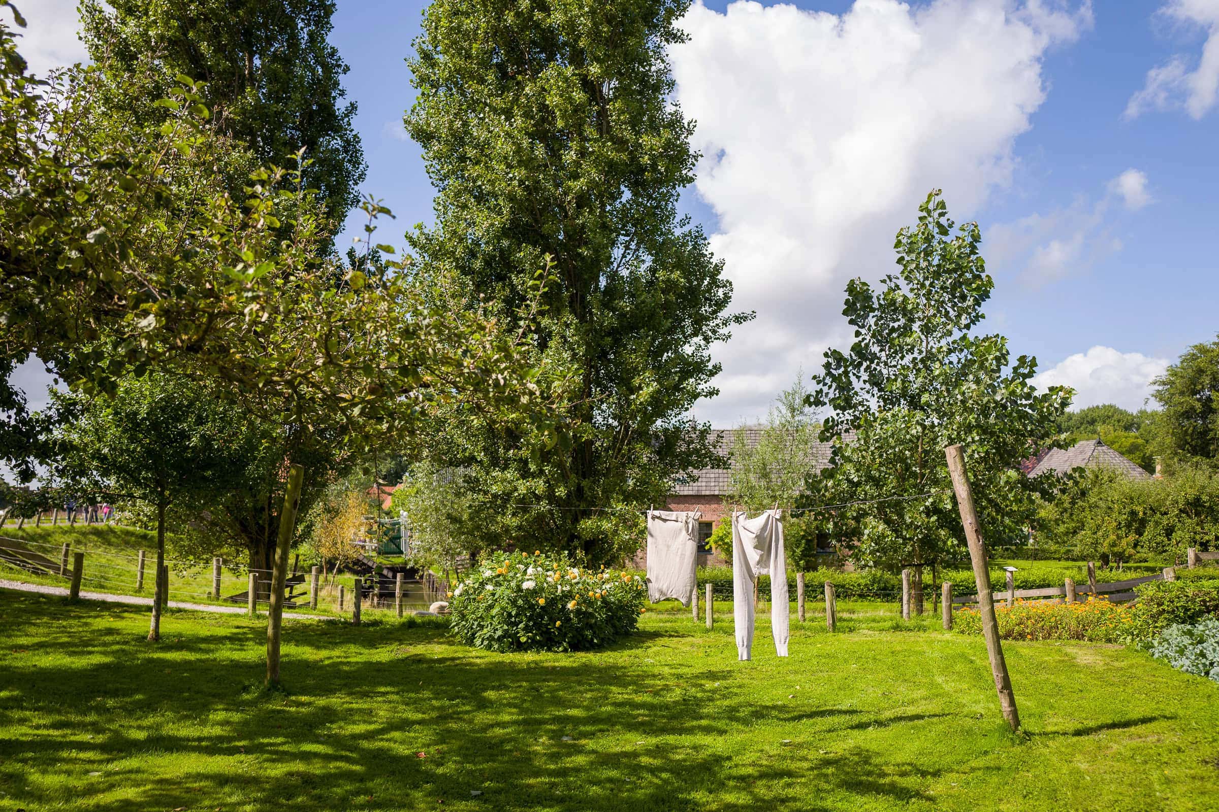 BDM_08_2025_1_Mark_Poltermann-10