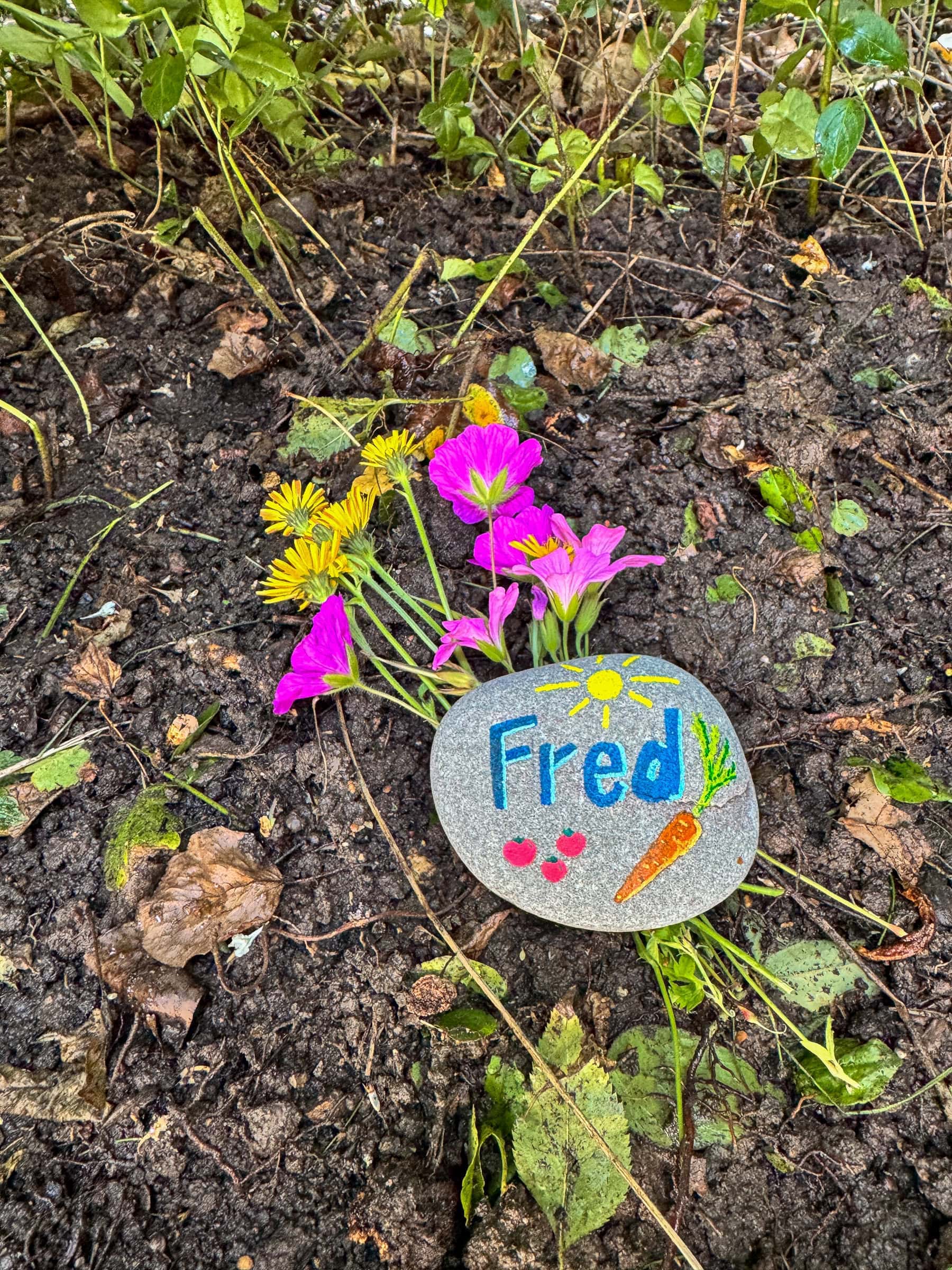 BDM_08_2025_1_Mark_Poltermann-12