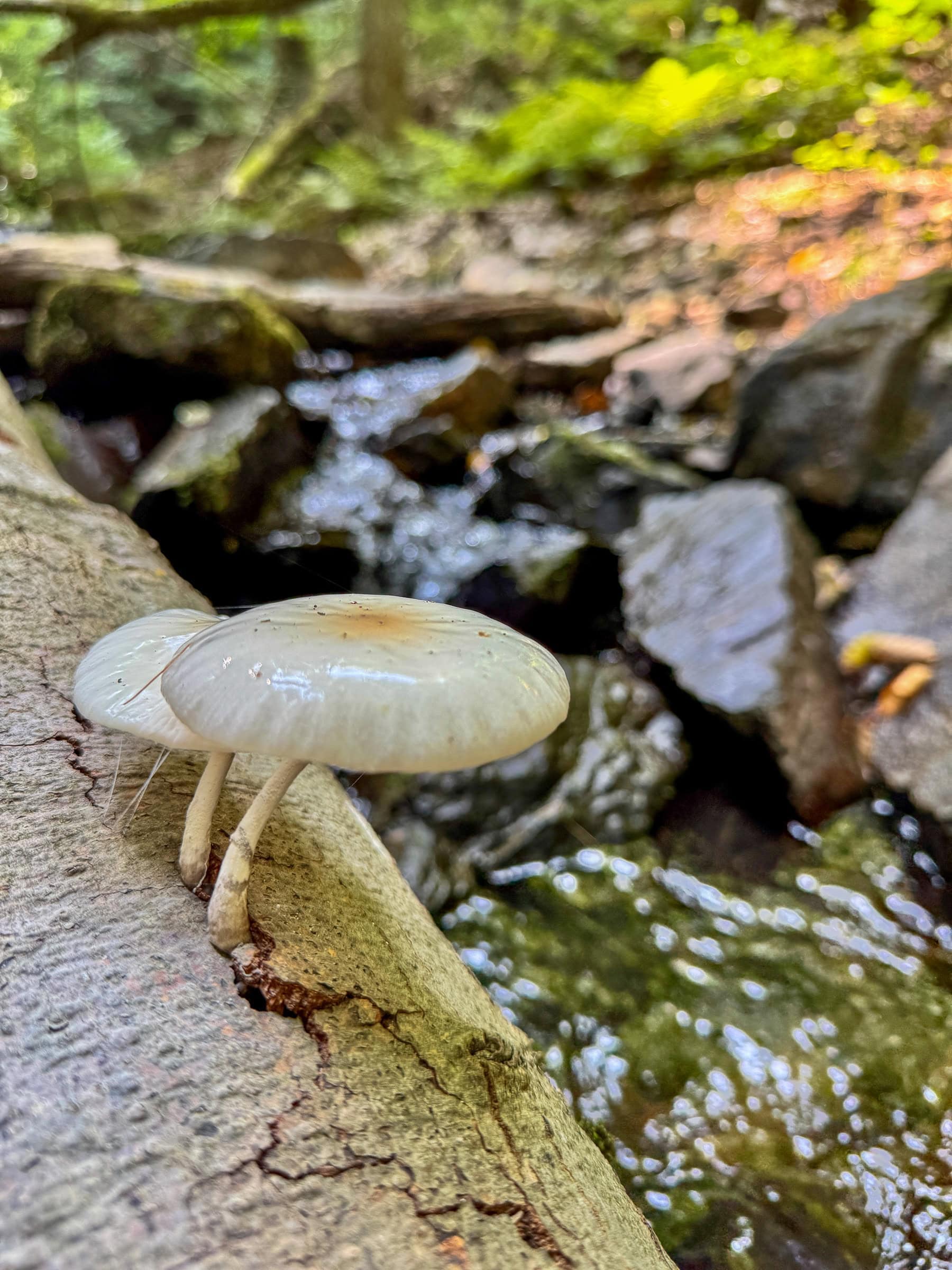 BDM_08_2025_1_Mark_Poltermann-19