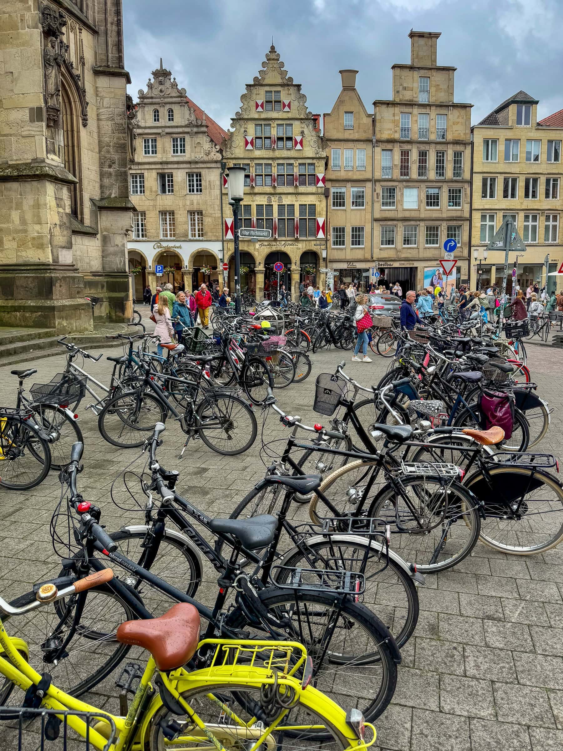 BDM_08_2025_1_Mark_Poltermann-4