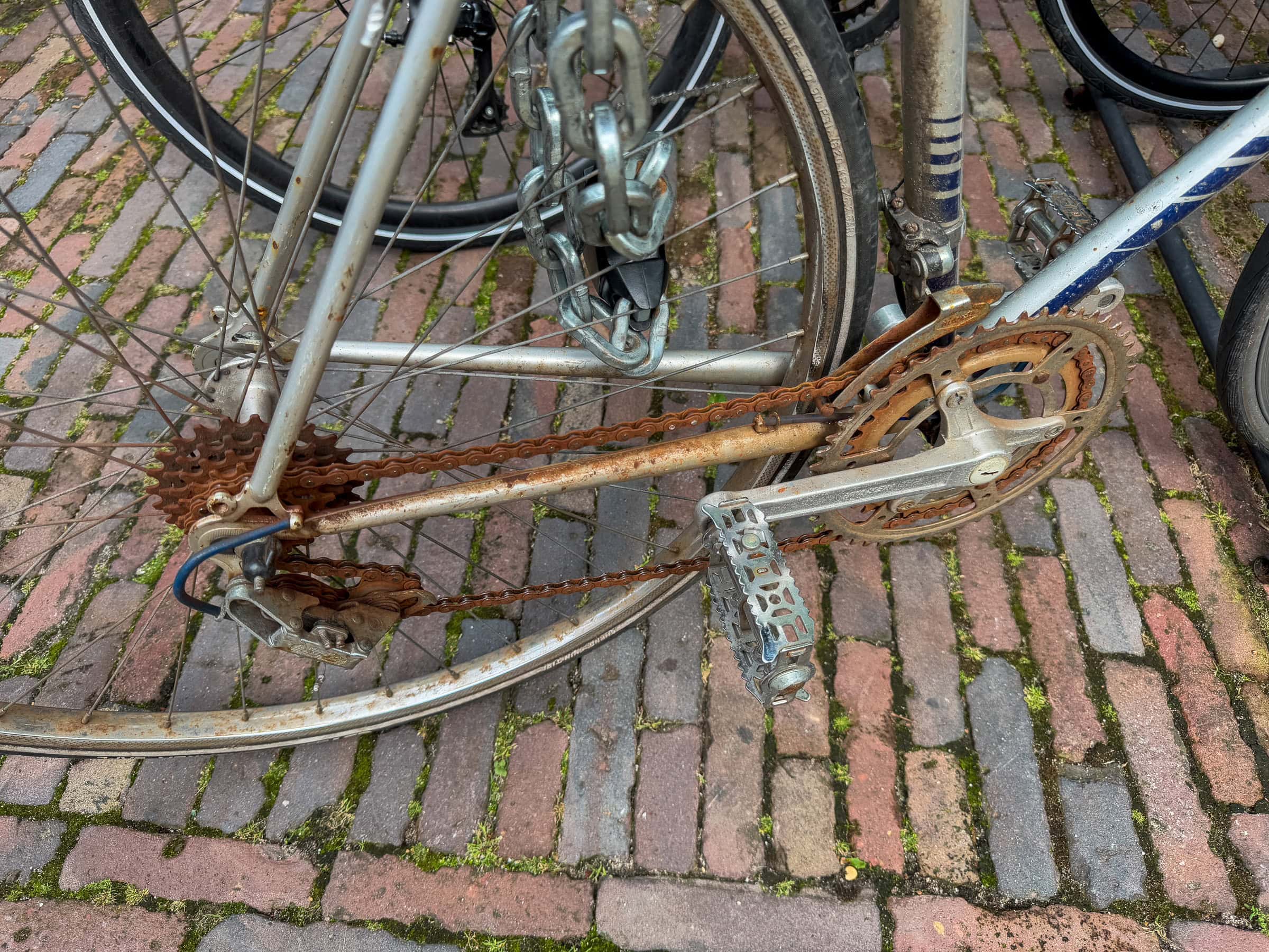 BDM_08_2025_1_Mark_Poltermann-8