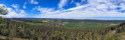 20210524-original_9f195f71-4bcf-4be6-8be8-f279e71a35f0_PXL_20210524_085024657_PANO.jpg