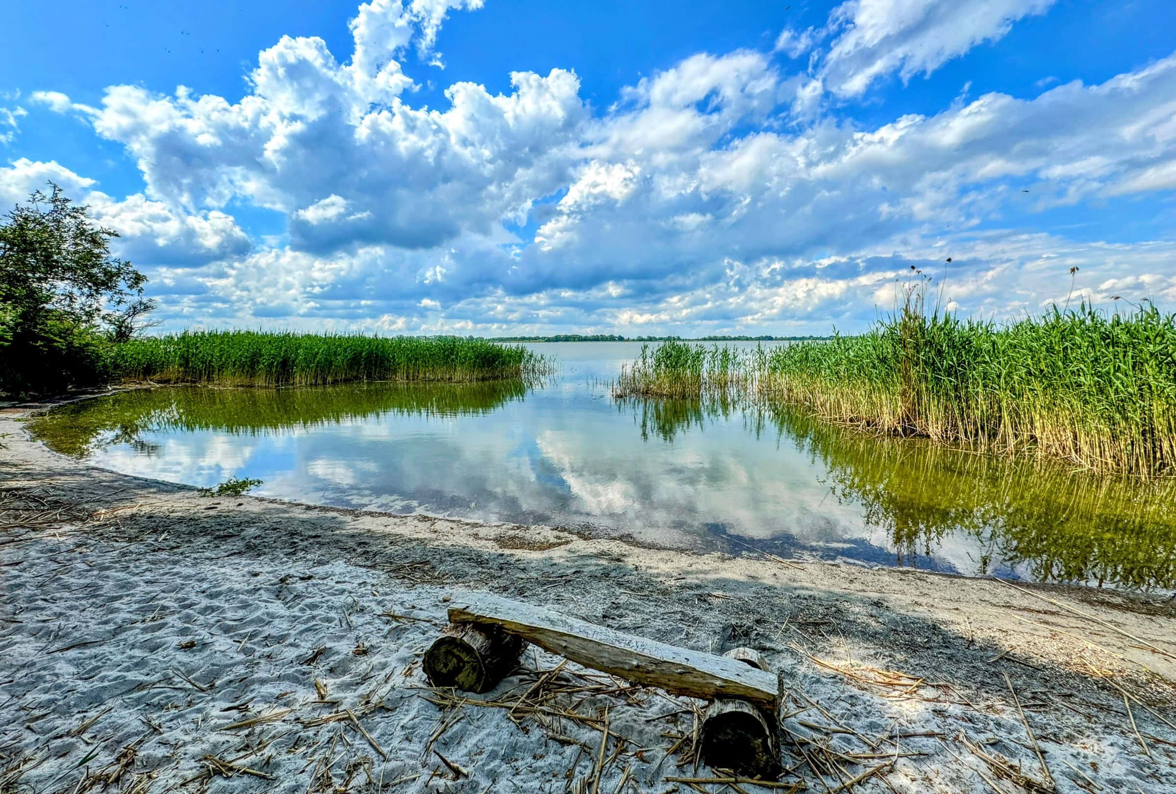 BDM_05_2025_Mark_Poltermann-17