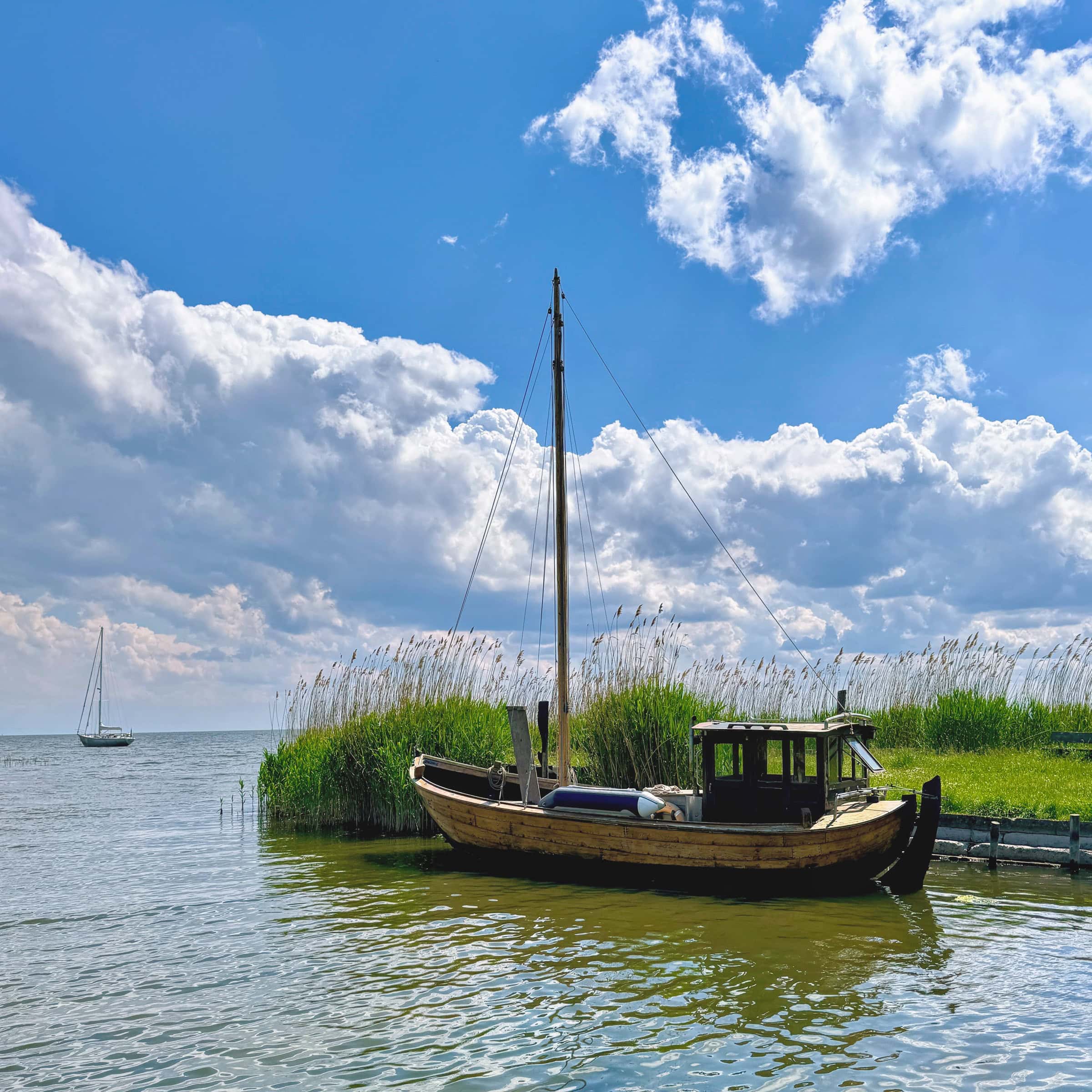 BDM_05_2025_Mark_Poltermann-18