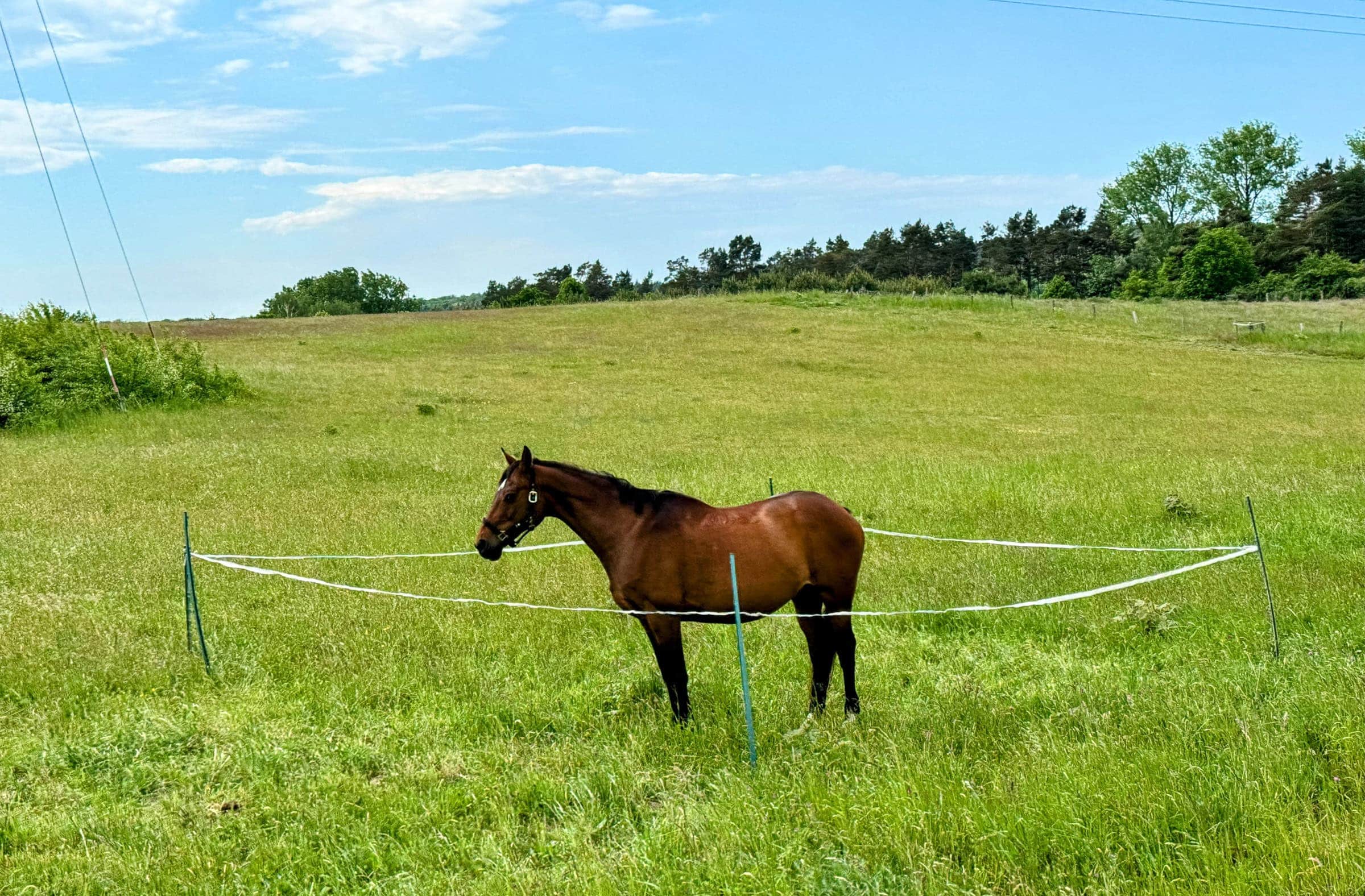 BDM_05_2025_Mark_Poltermann-19
