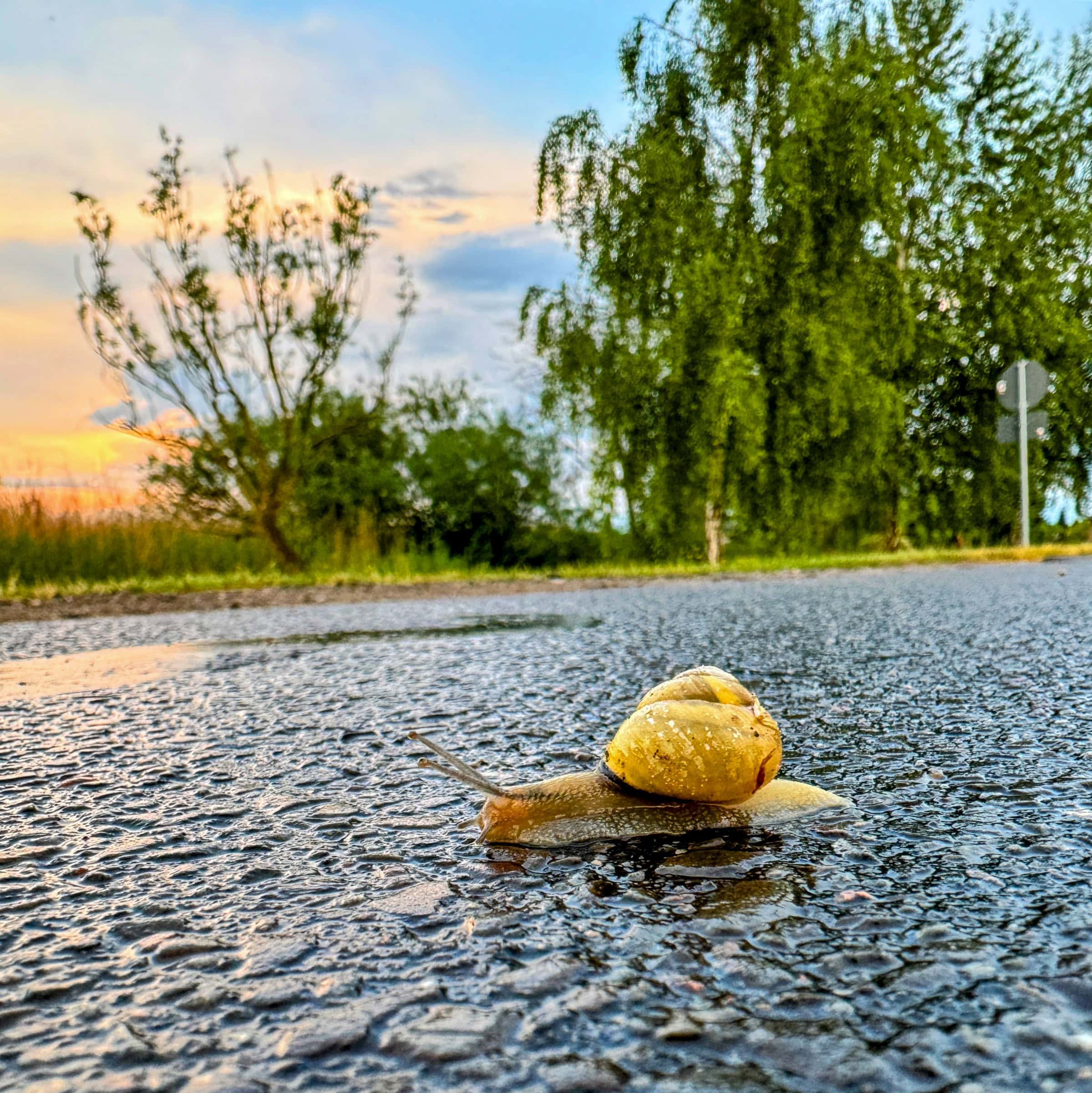 BDM_05_2025_Mark_Poltermann-21