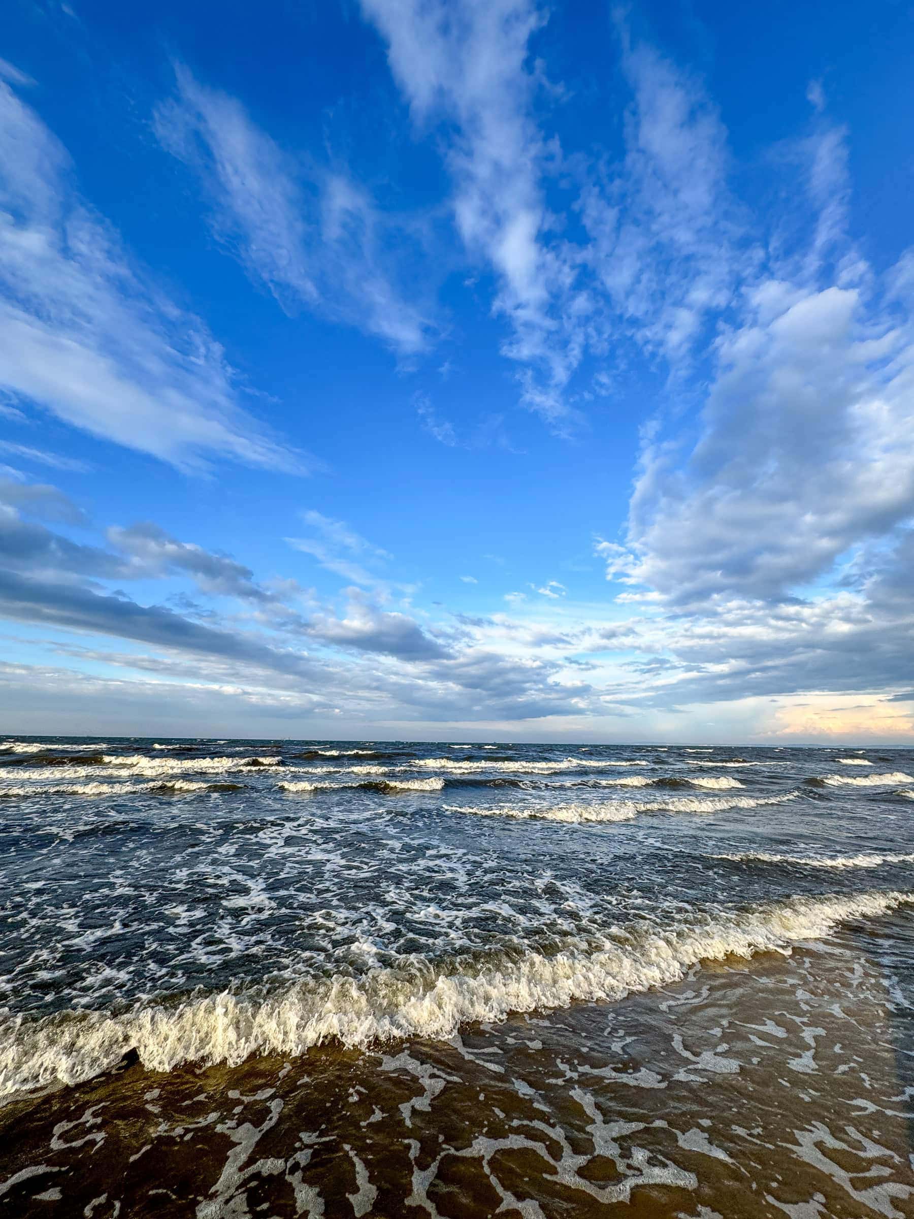 BDM_05_2025_Mark_Poltermann-23