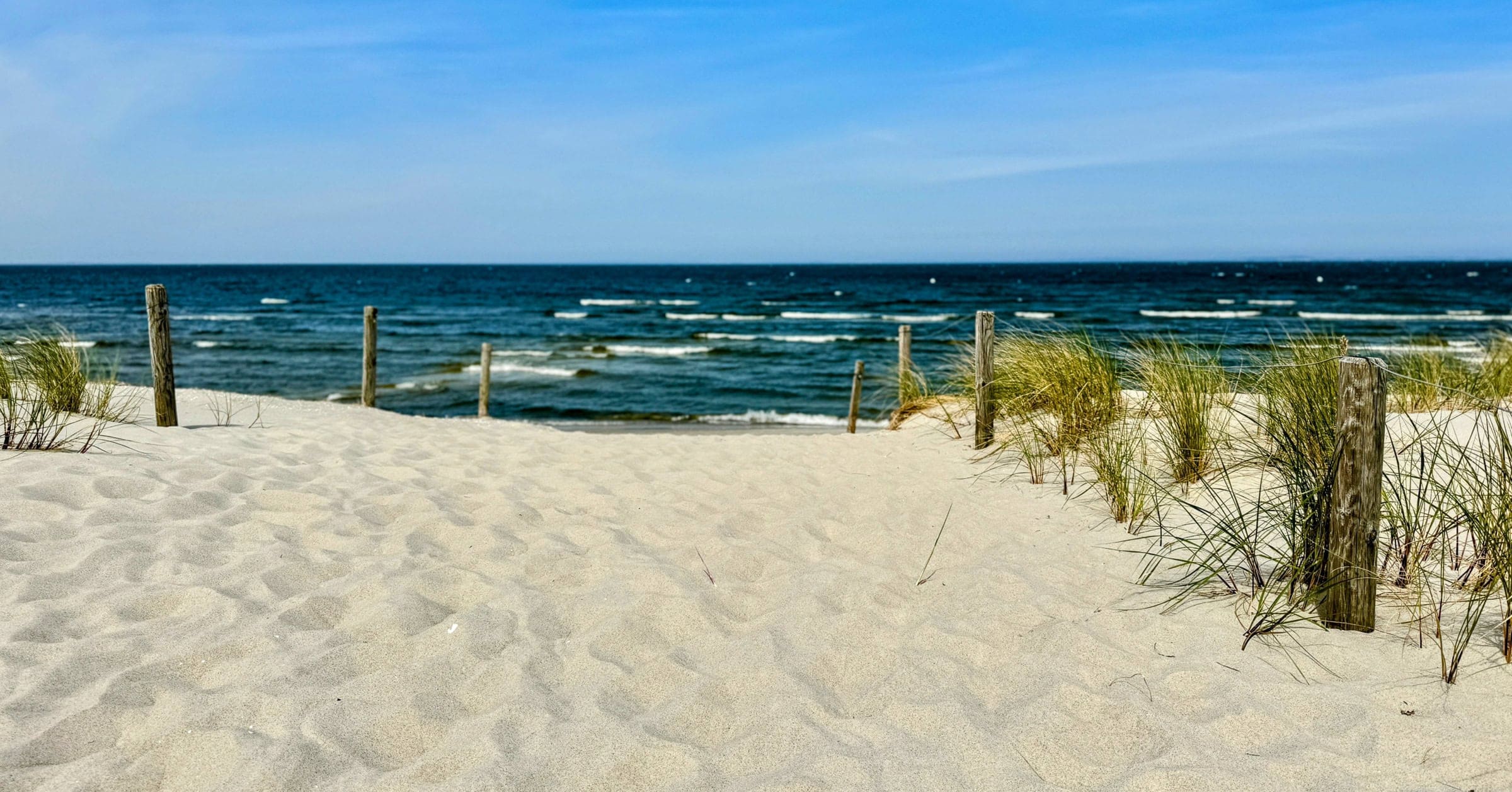 BDM_05_2025_Mark_Poltermann-25