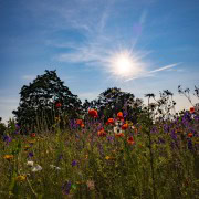 20210625-_MG_0307.jpg