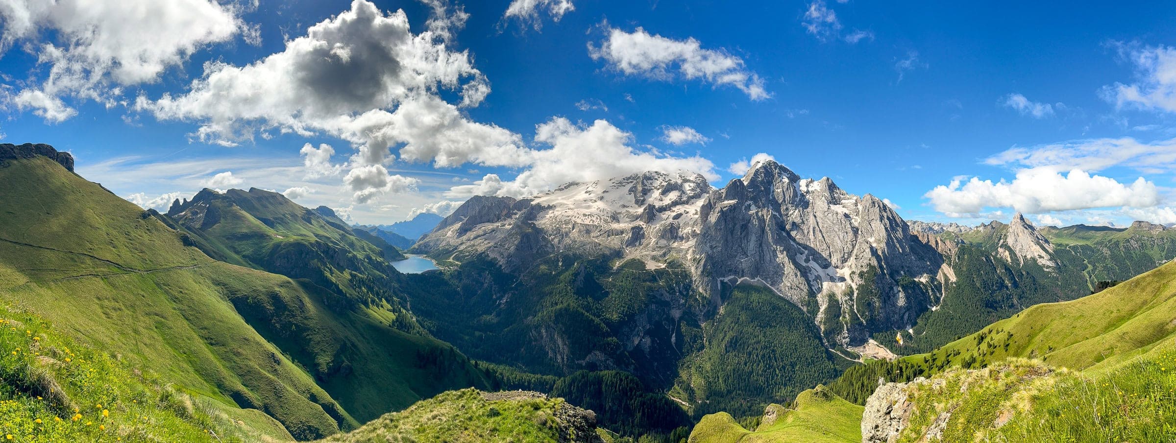 BDM_06_2025_Mark_Poltermann-23