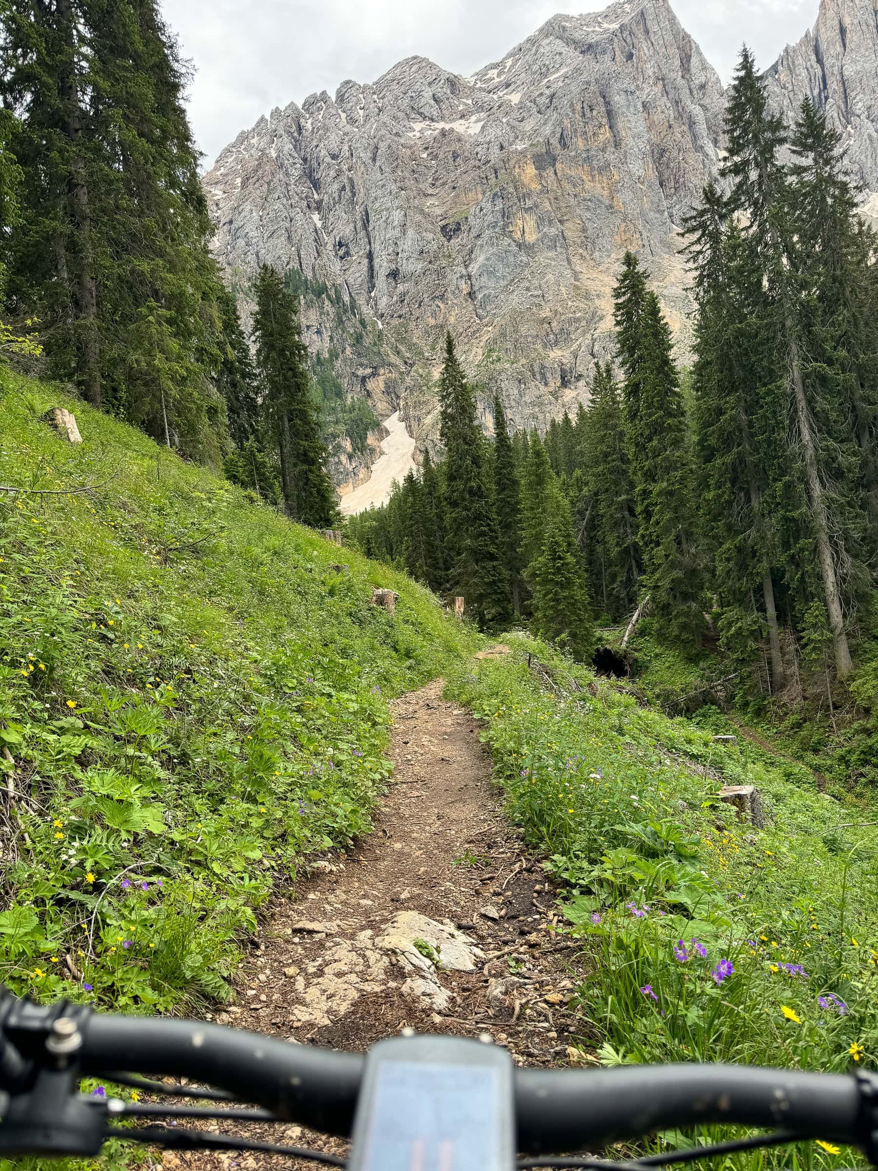 BDM_06_2025_Mark_Poltermann-25