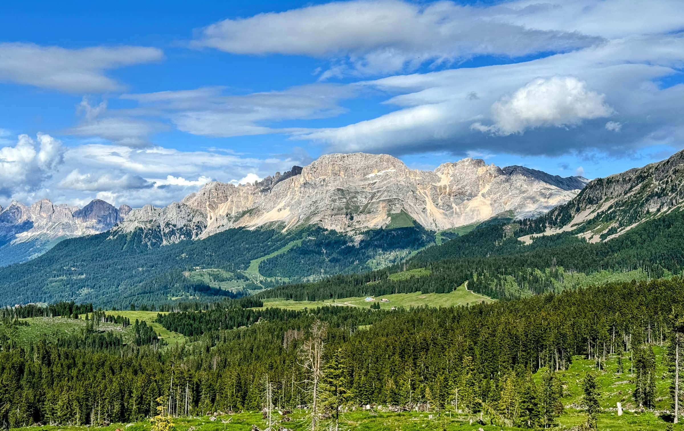 BDM_06_2025_Mark_Poltermann-26