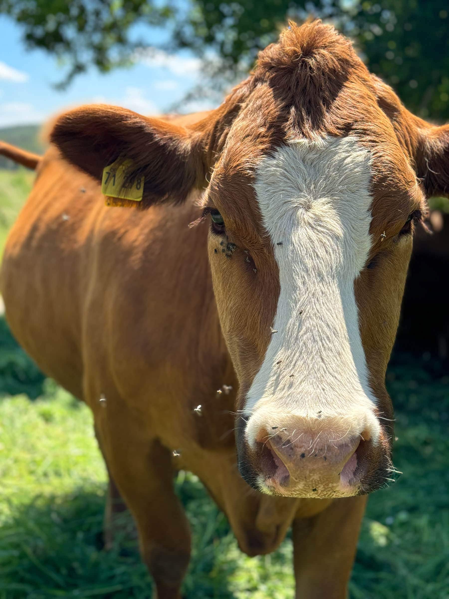 BDM_06_2025_Mark_Poltermann-6