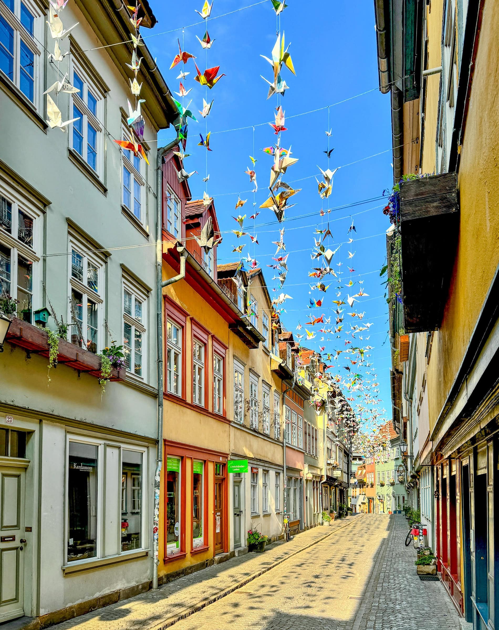 BDM_06_2025_Mark_Poltermann-8