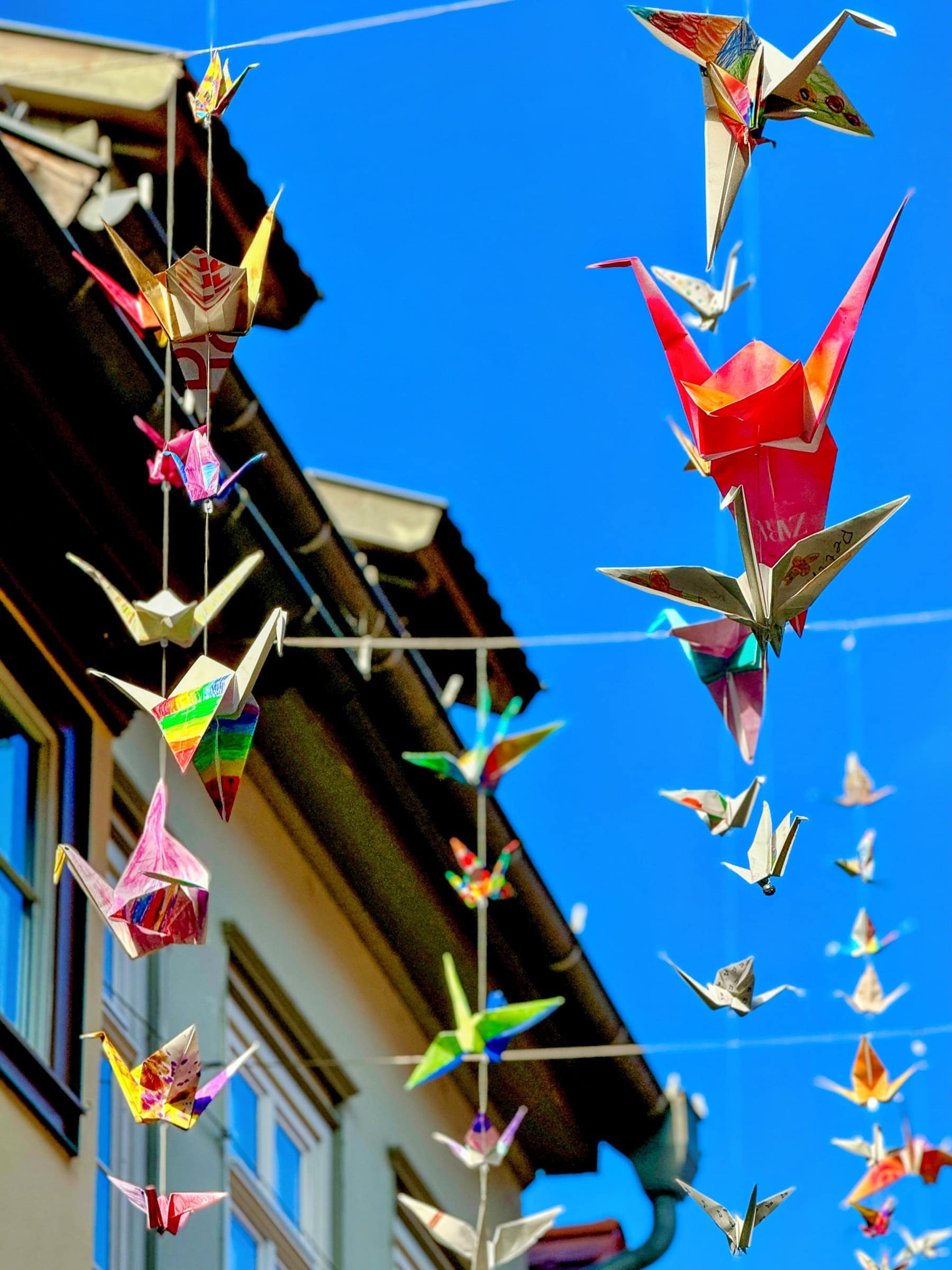 BDM_06_2025_Mark_Poltermann-9