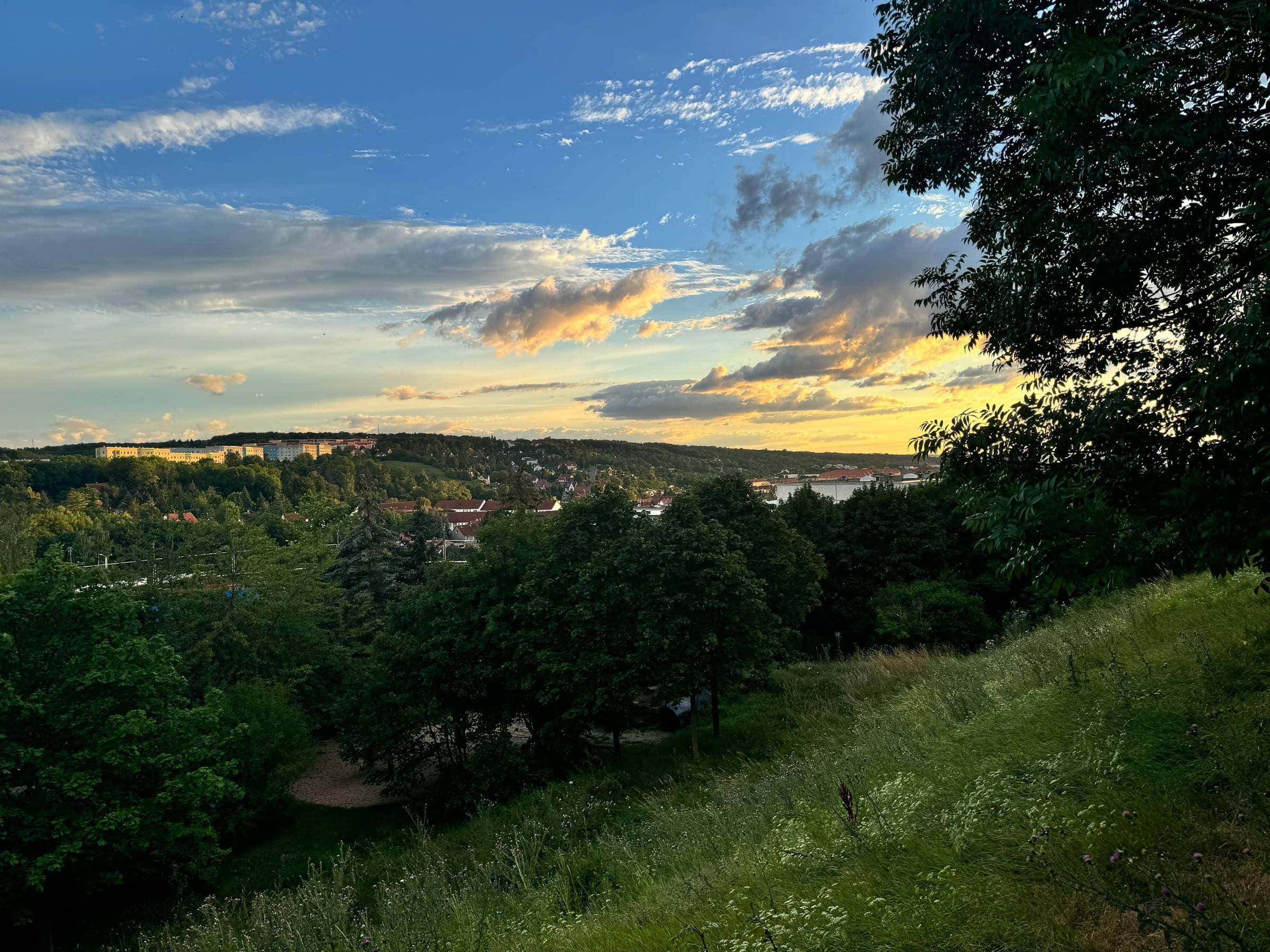 BDM_07_2025_Mark_Poltermann-11