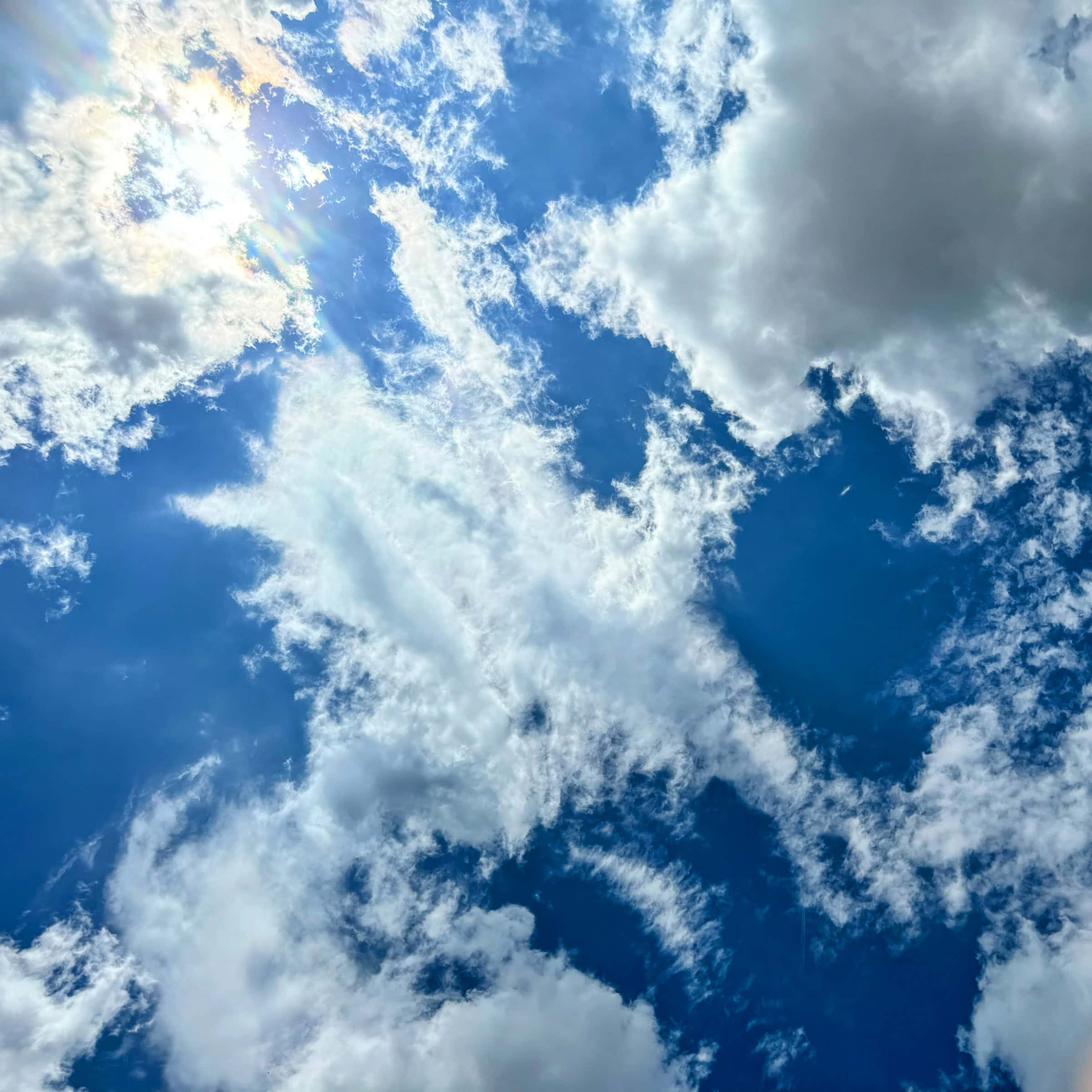 BDM_07_2025_Mark_Poltermann-4