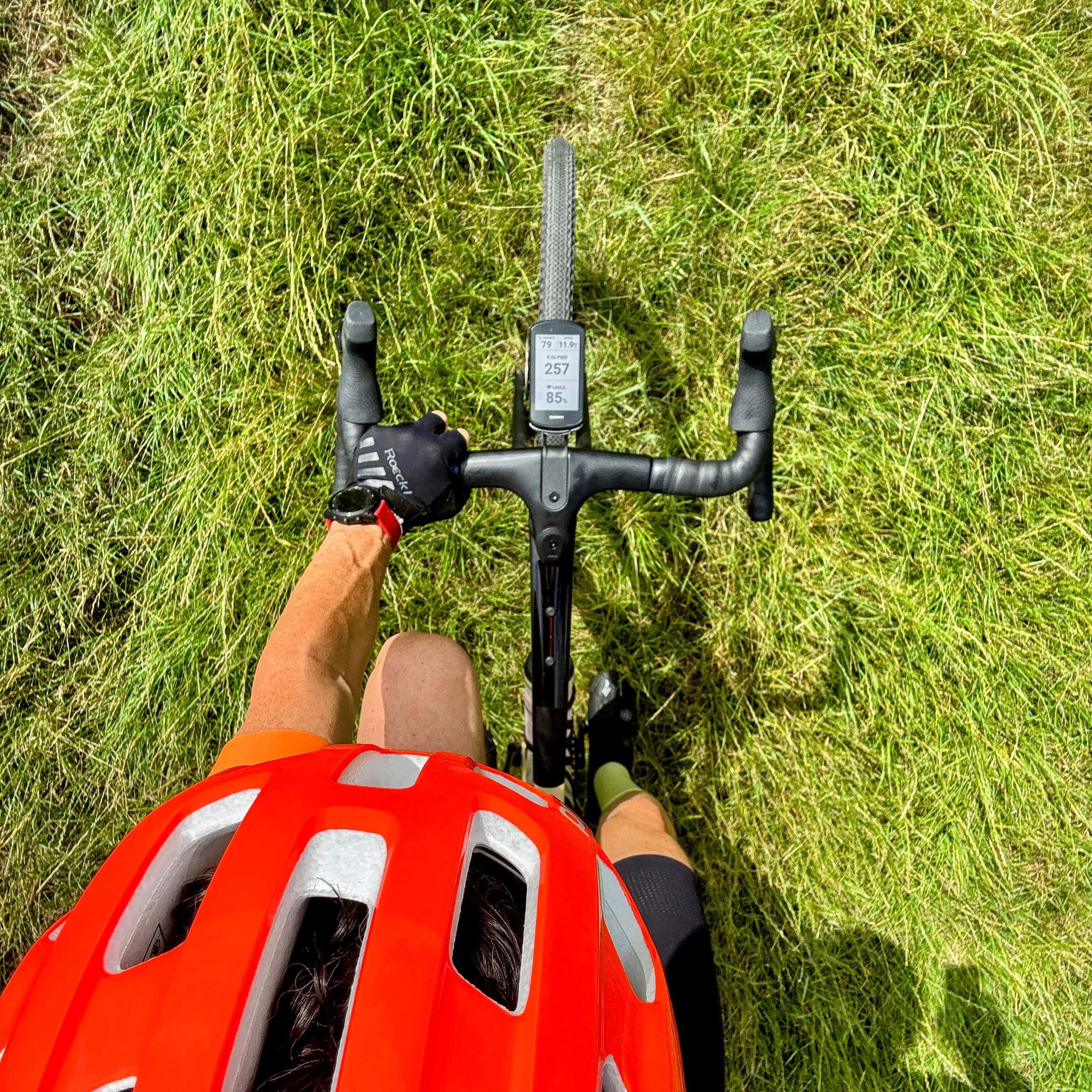 BDM_07_2025_Mark_Poltermann-5