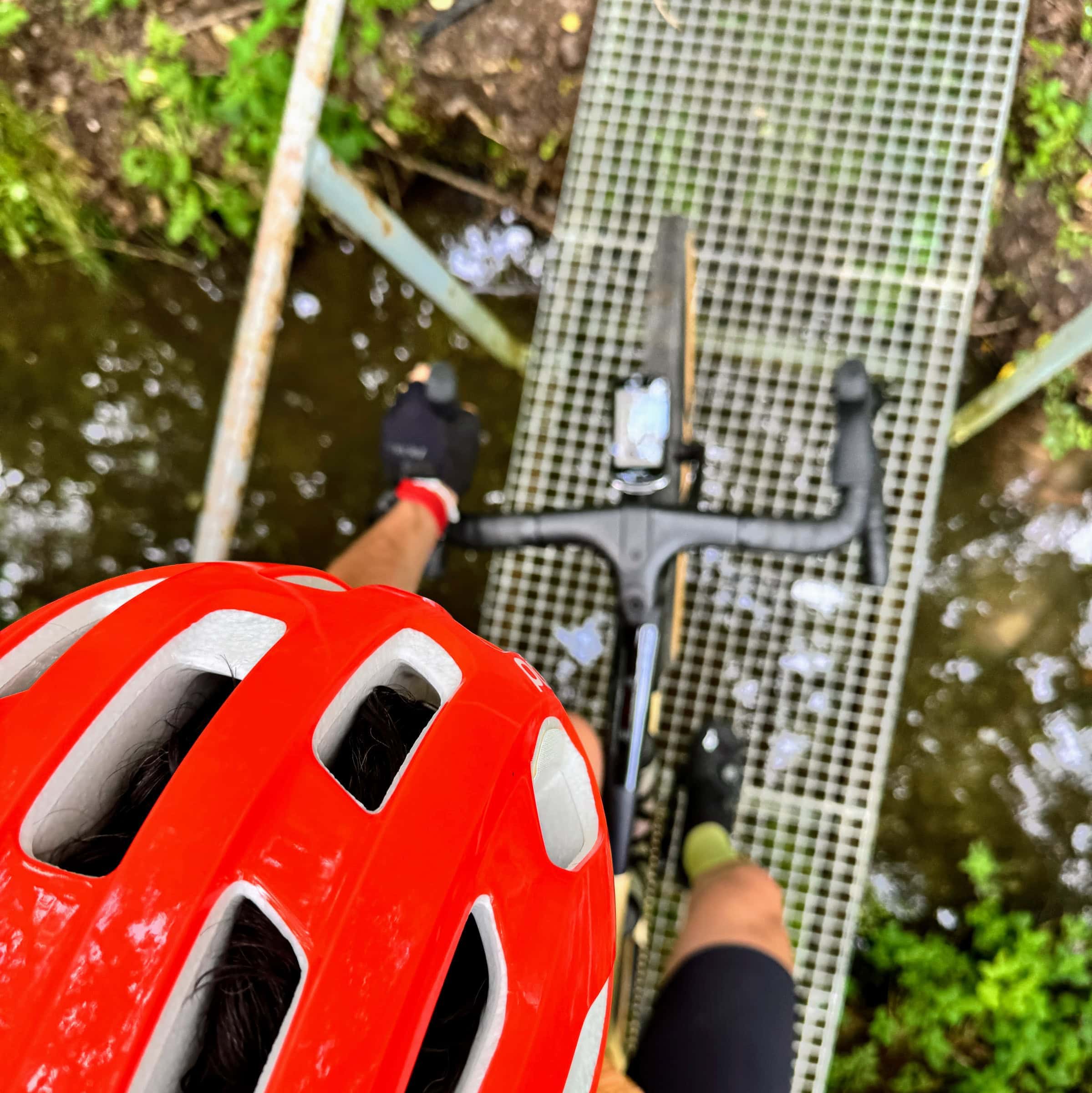 BDM_07_2025_Mark_Poltermann-6