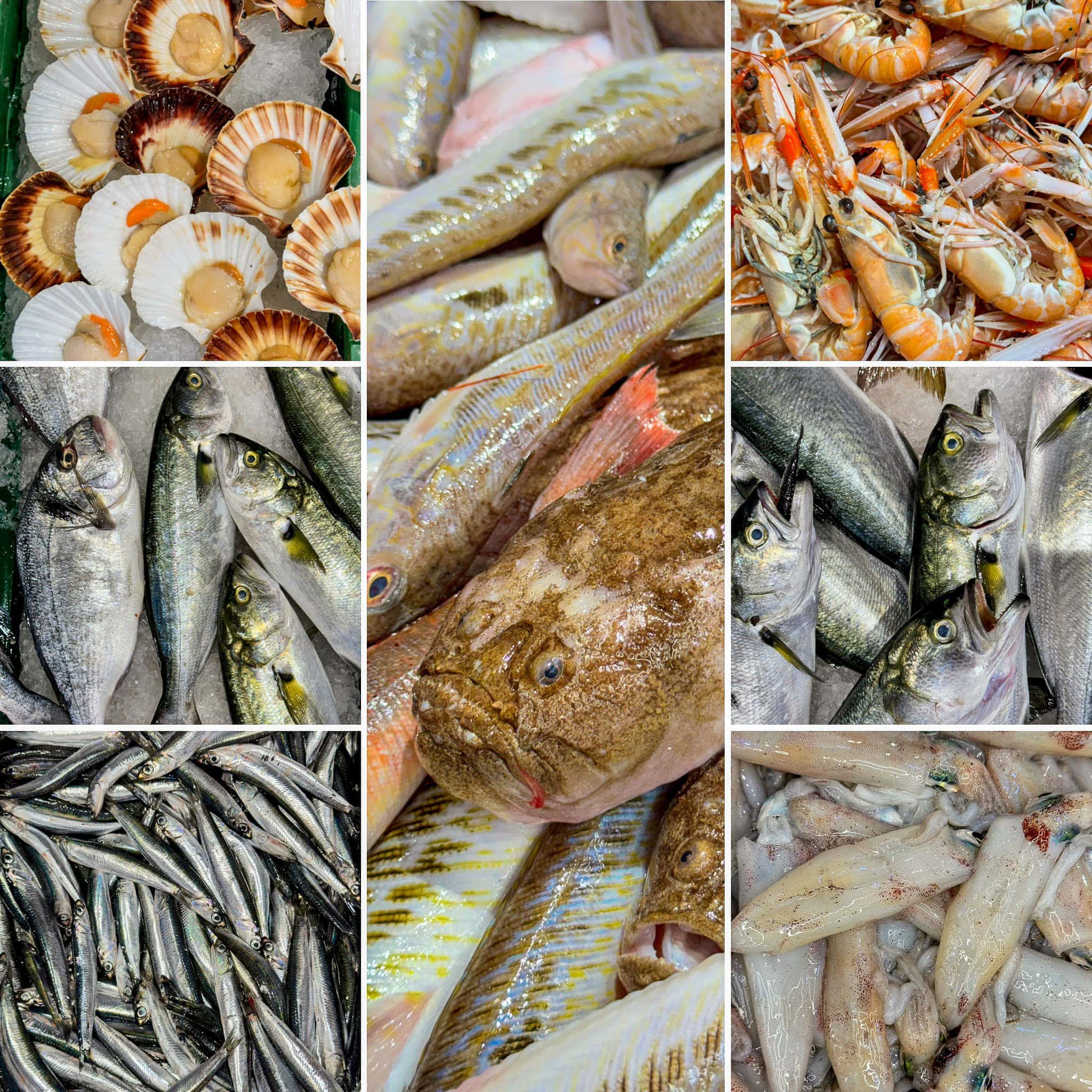 BDM_08_2025_Mark_Poltermann-21