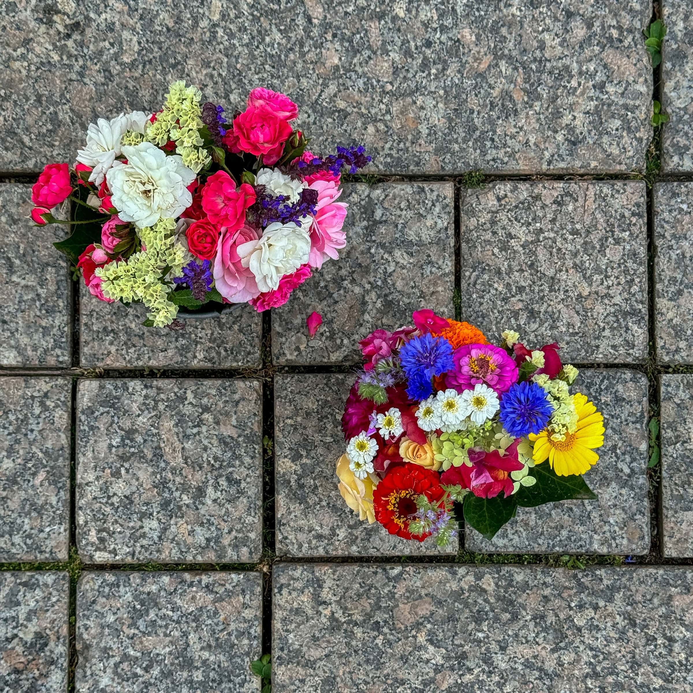 BDM_08_2025_Mark_Poltermann-5