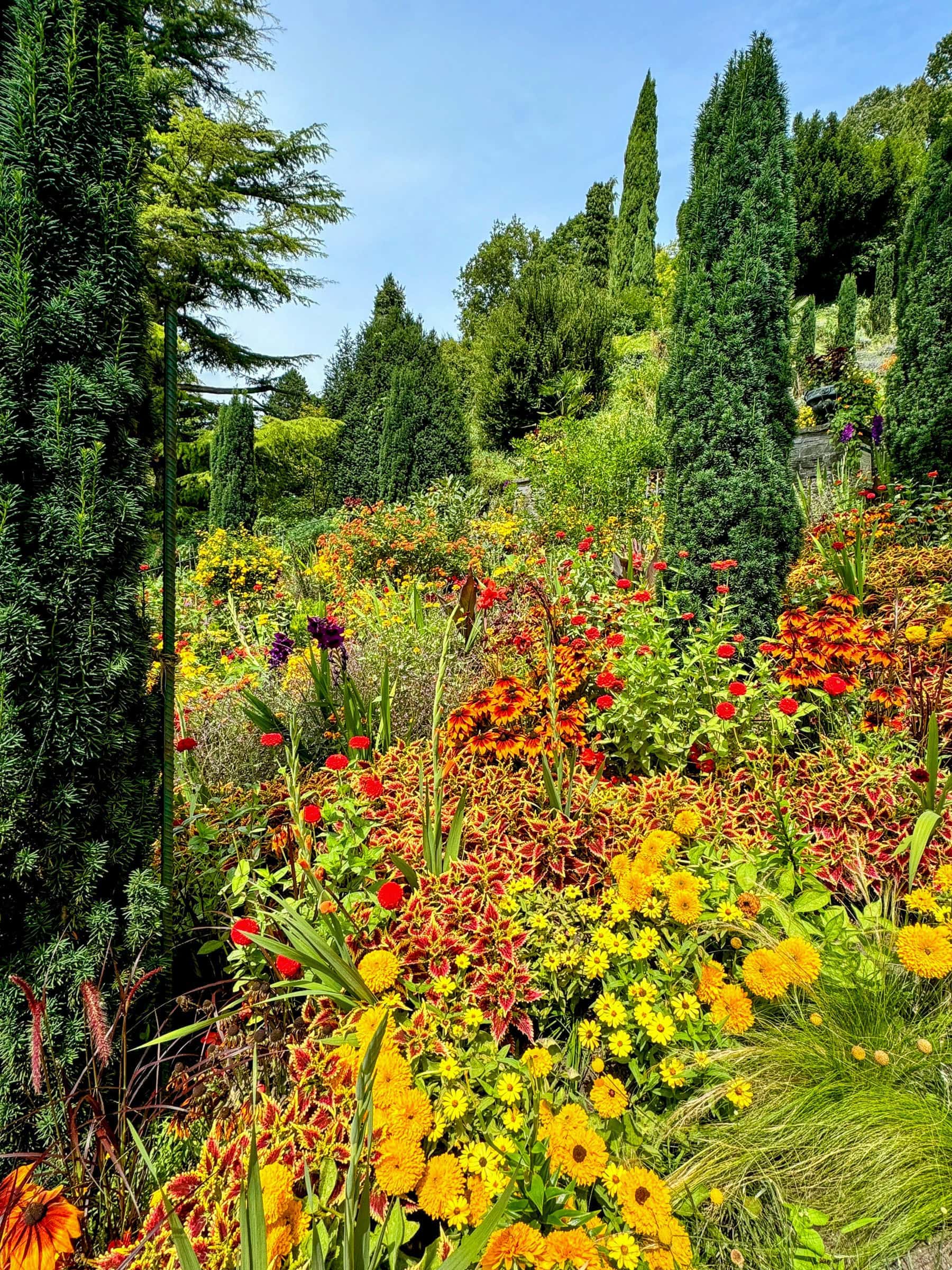 BDM_08_2025_Mark_Poltermann-7