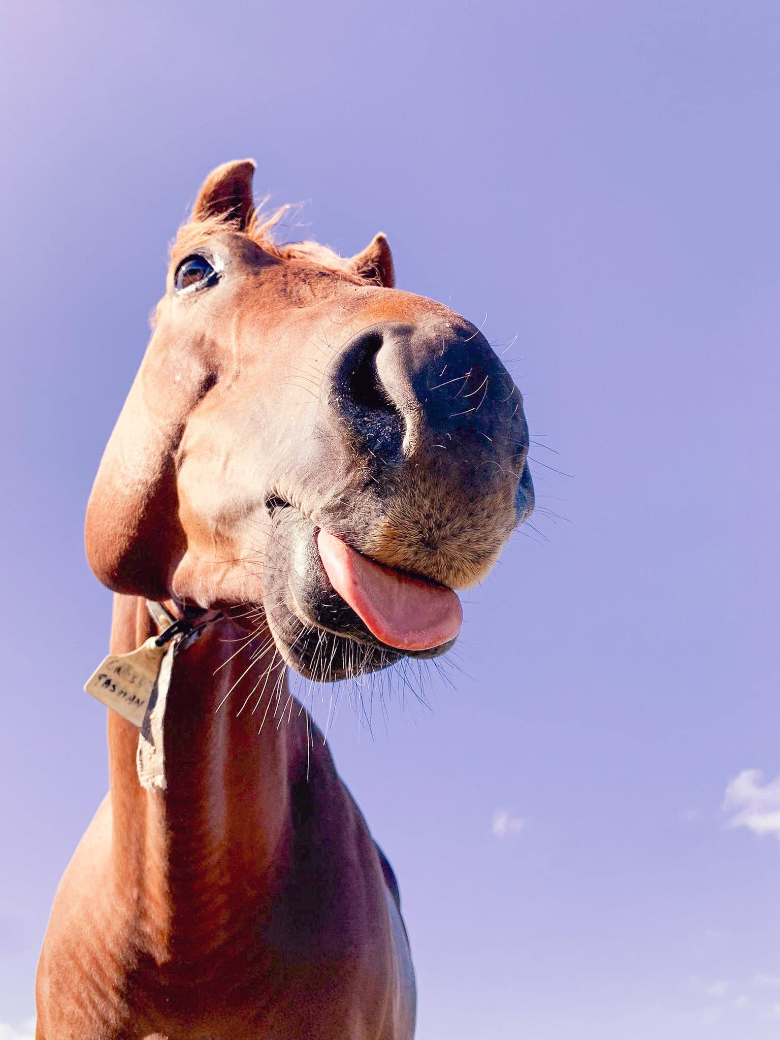 BDM_10_2025_Mark_Poltermann-10