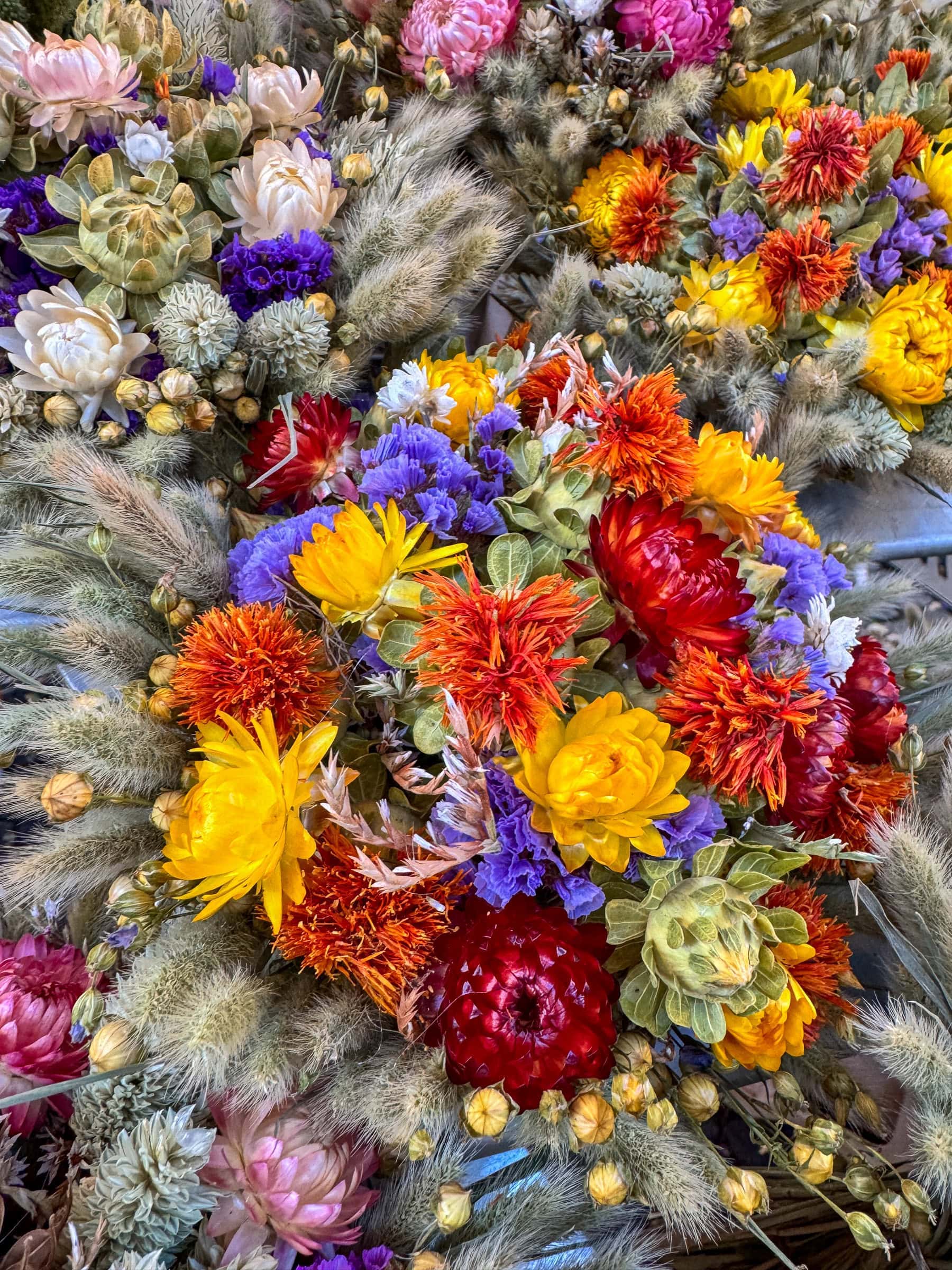 BDM_10_2025_Mark_Poltermann-13