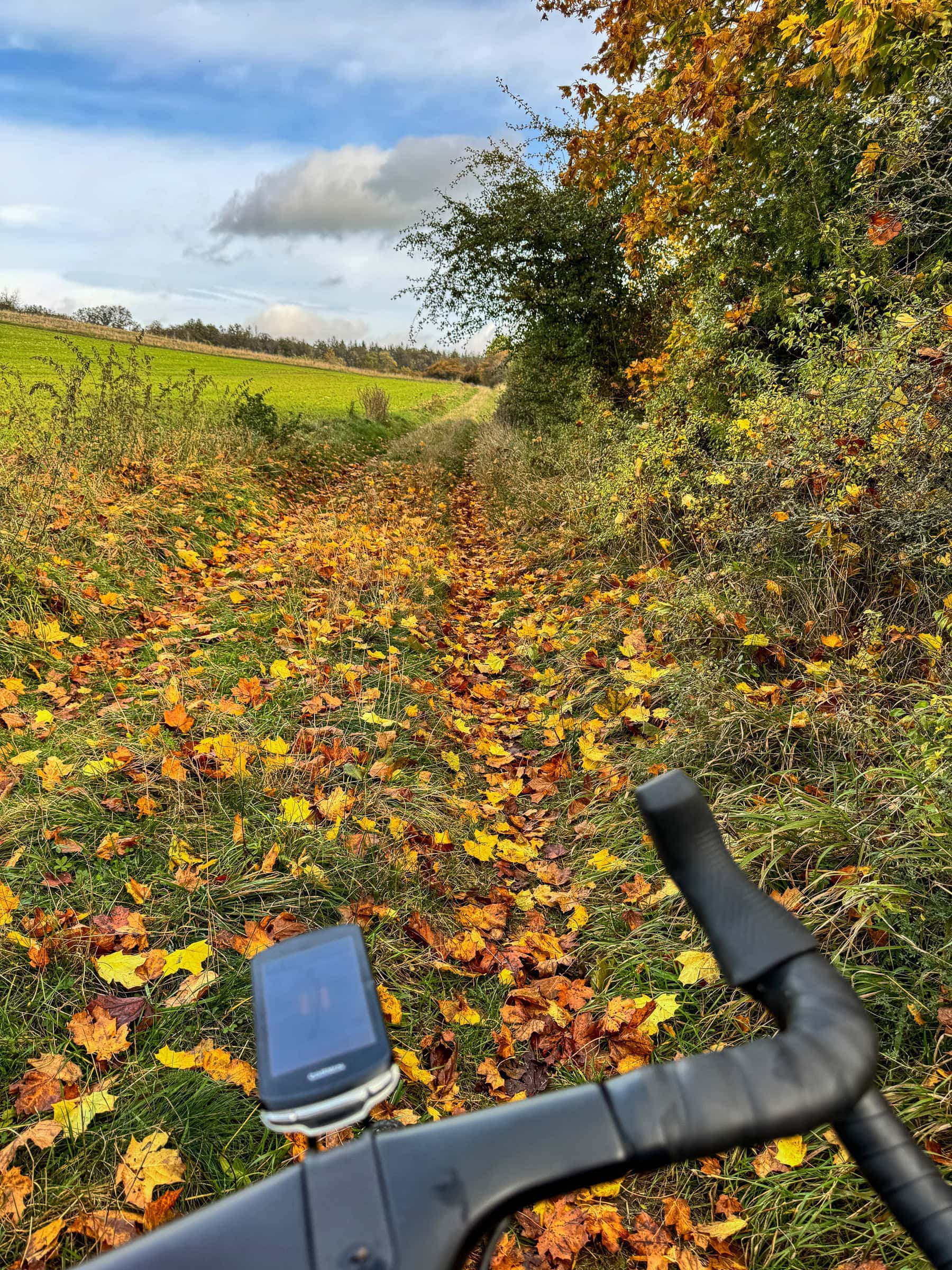 BDM_10_2025_Mark_Poltermann-22