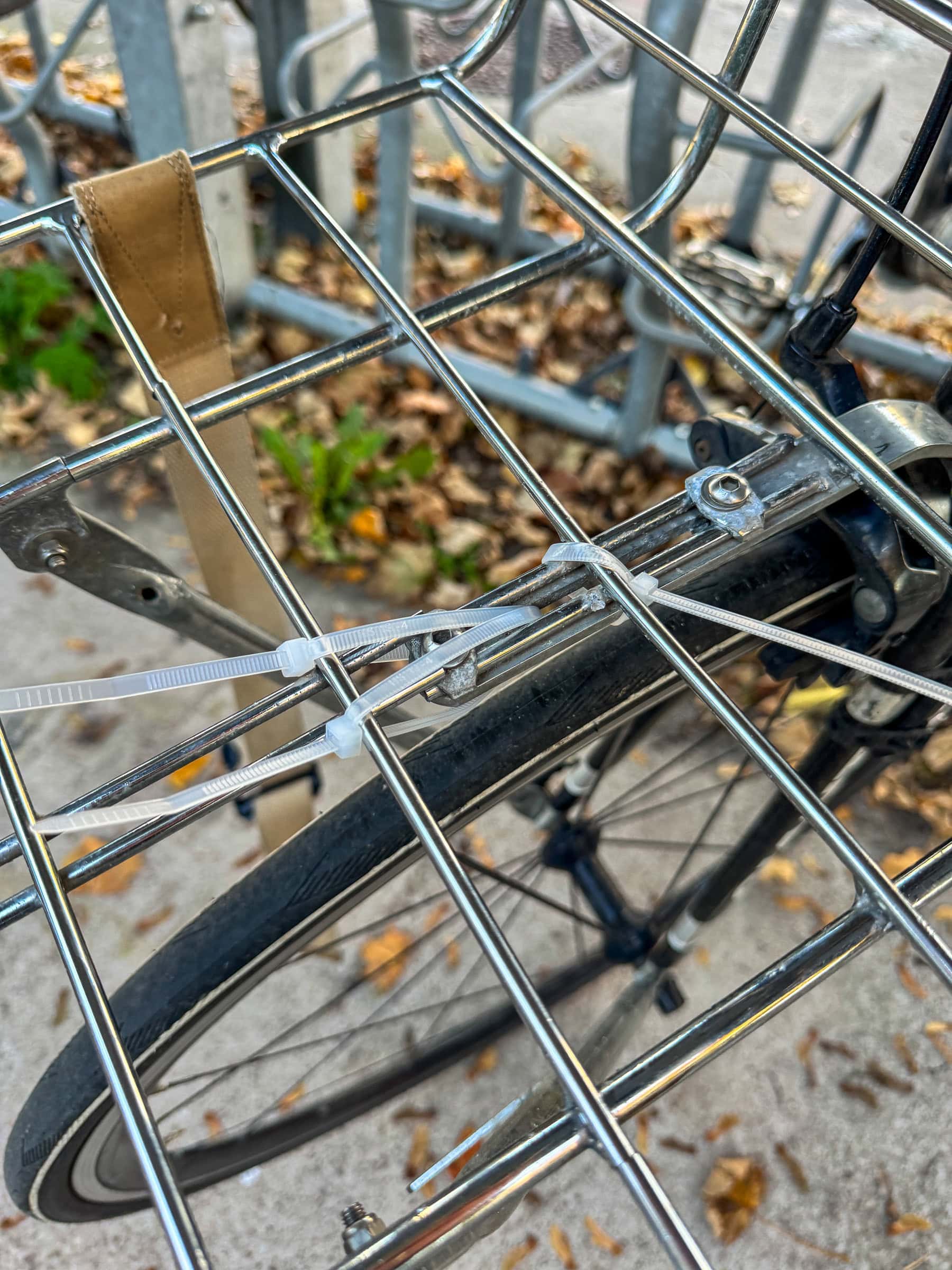 BDM_10_2025_Mark_Poltermann-25