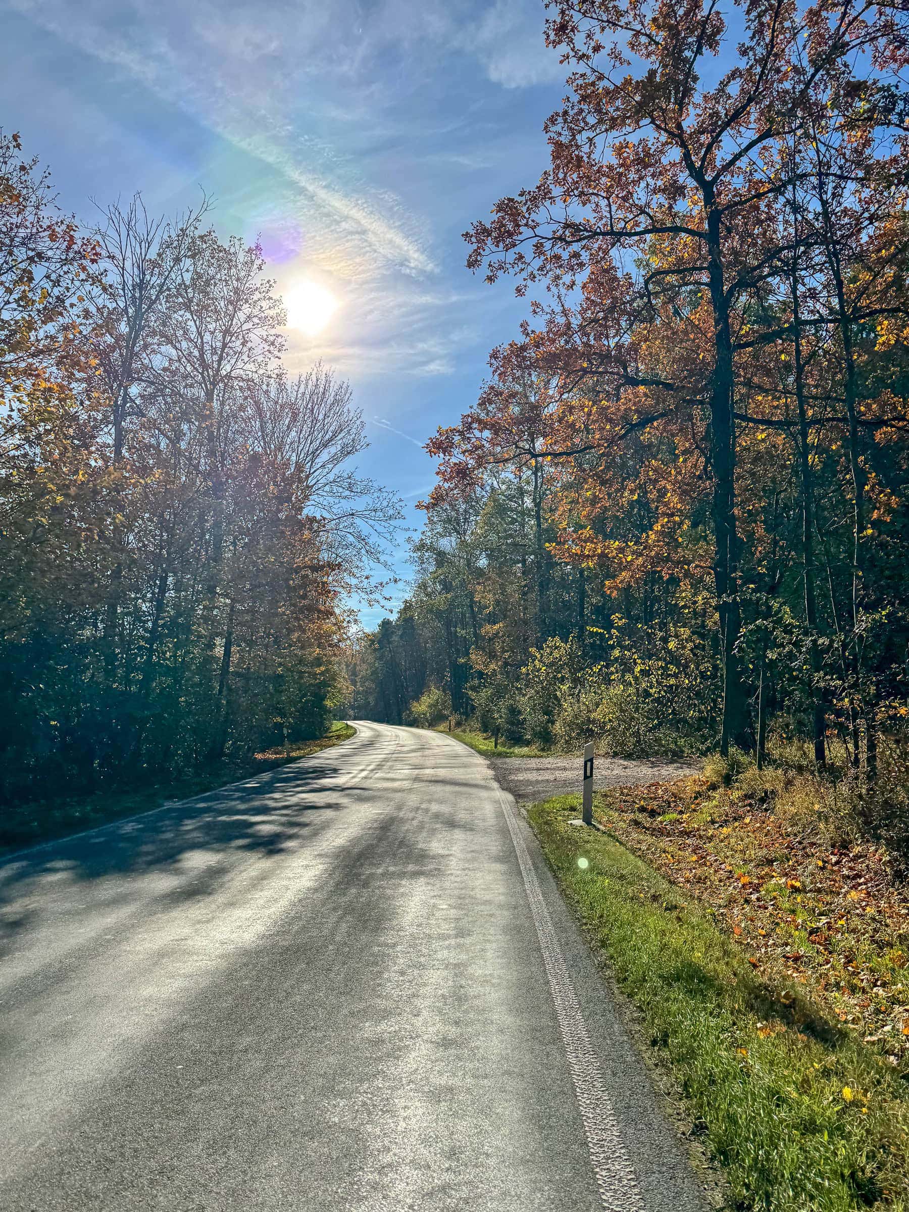 BDM_10_2025_Mark_Poltermann-27