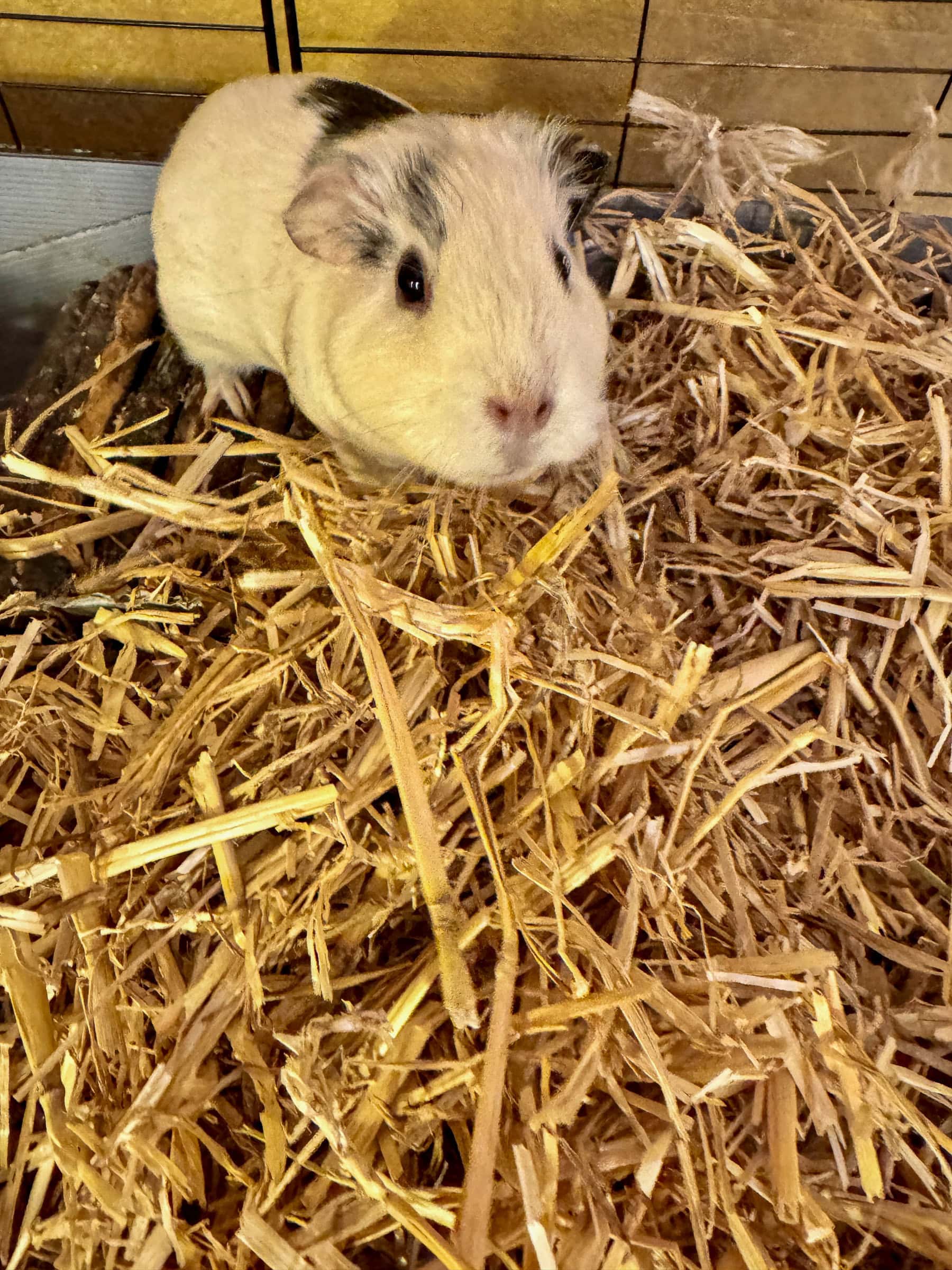 BDM_10_2025_Mark_Poltermann-29